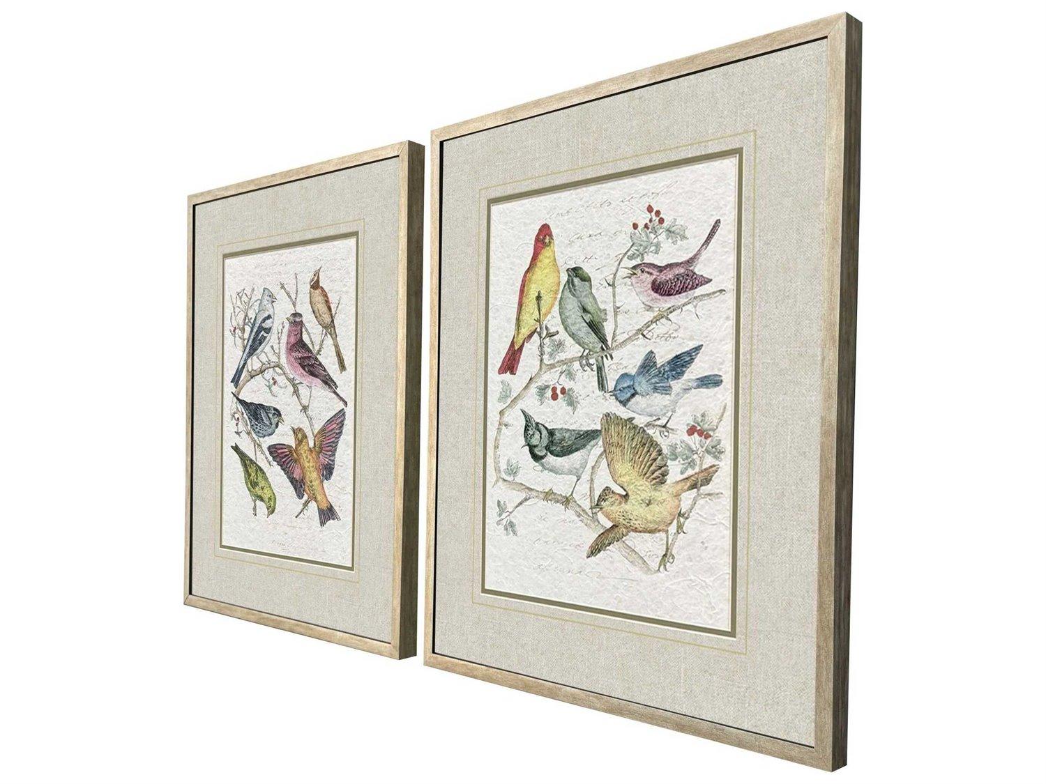 Paragon Animals Bird Variety Wall Art Set of 2