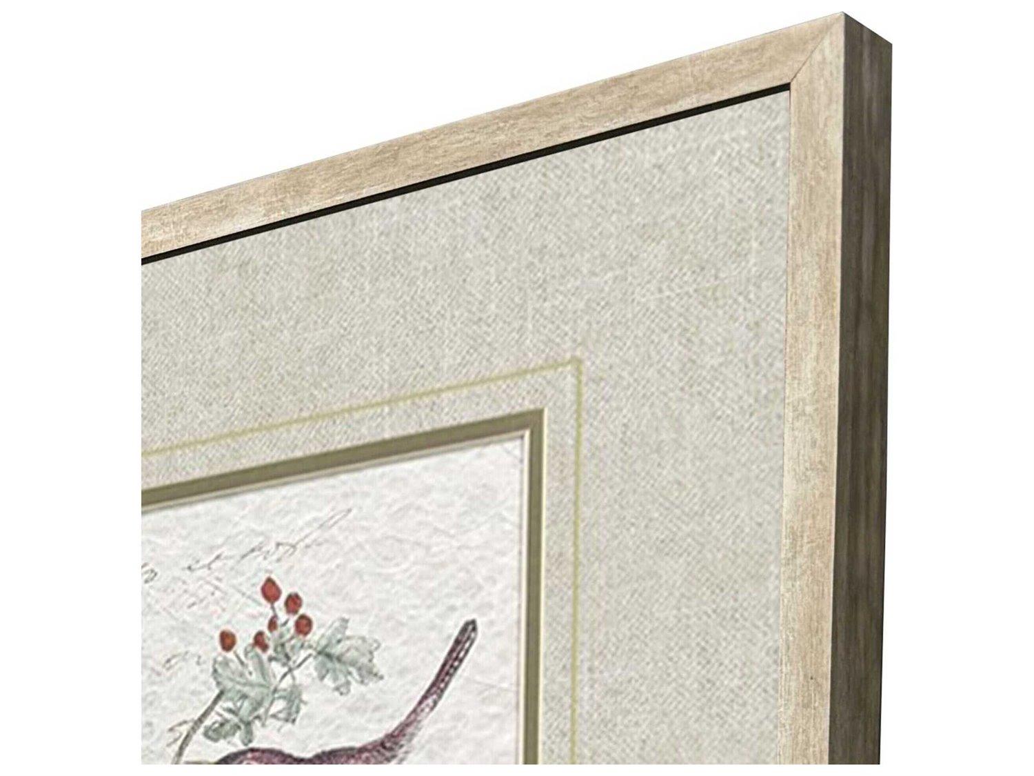 Paragon Animals Bird Variety Wall Art Set of 2