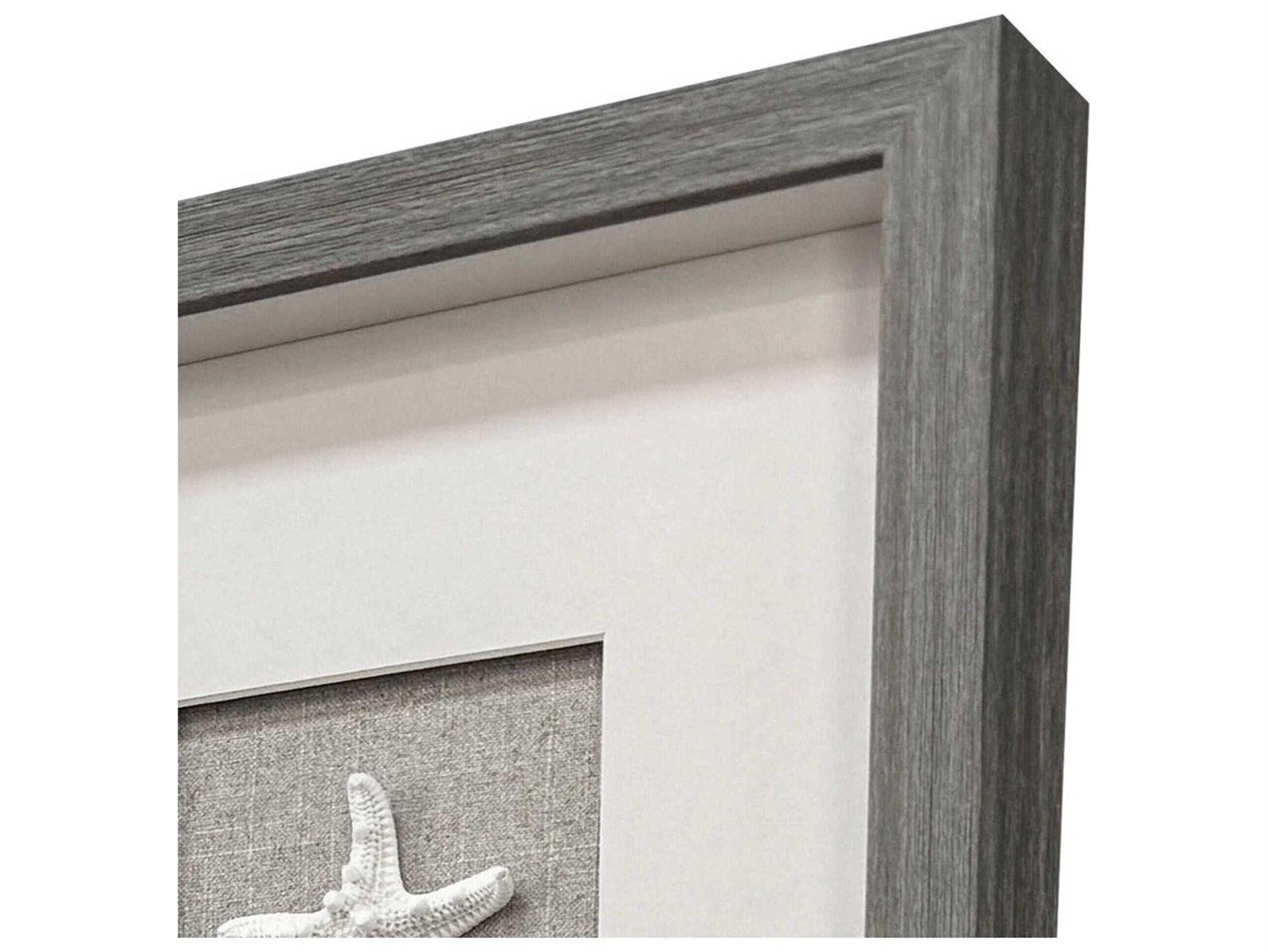 Paragon Naturals Natural Elements Shadow Box Set of 4