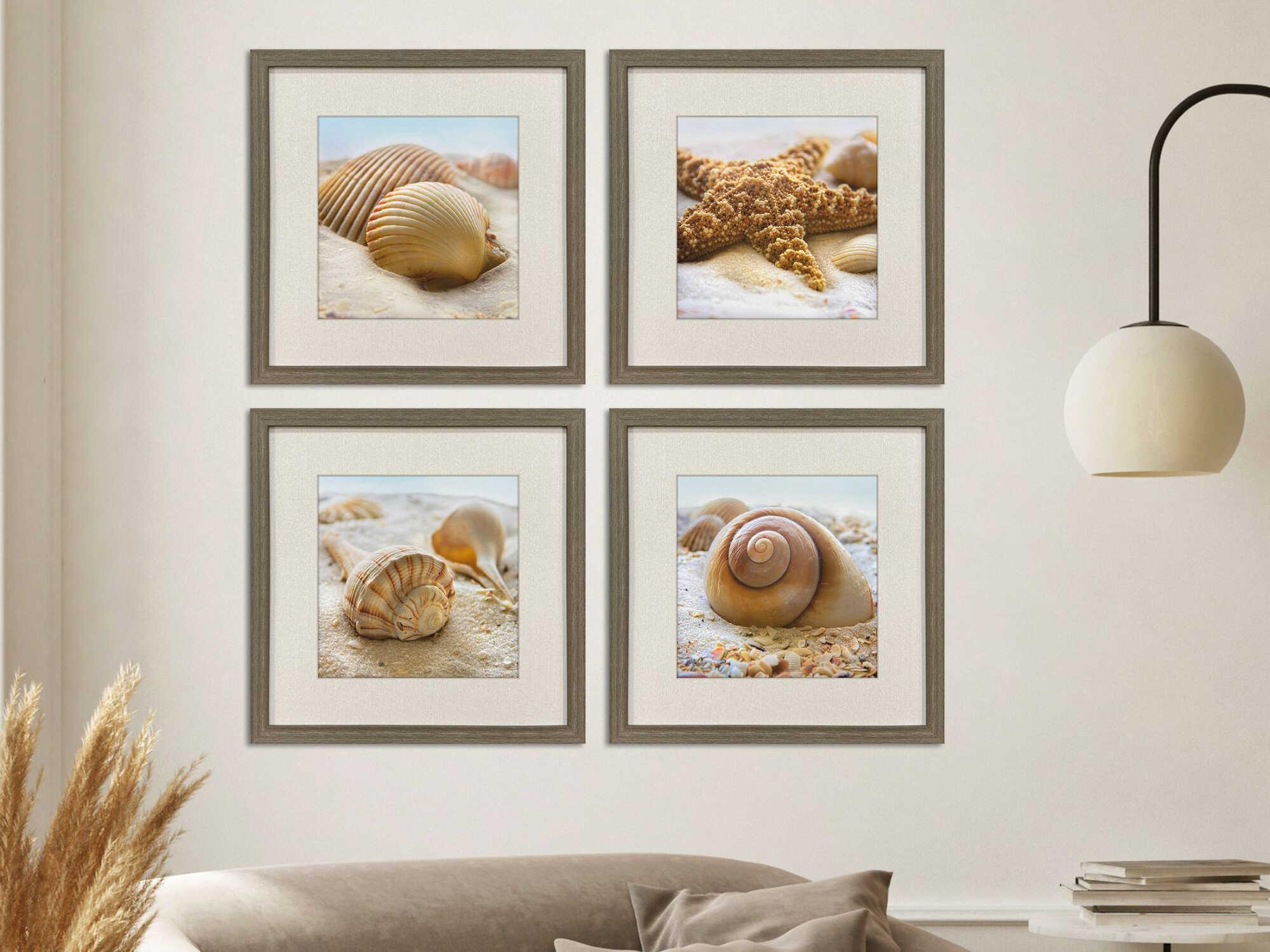 Paragon Naturals Beachy Shells Wall Art Set of 4