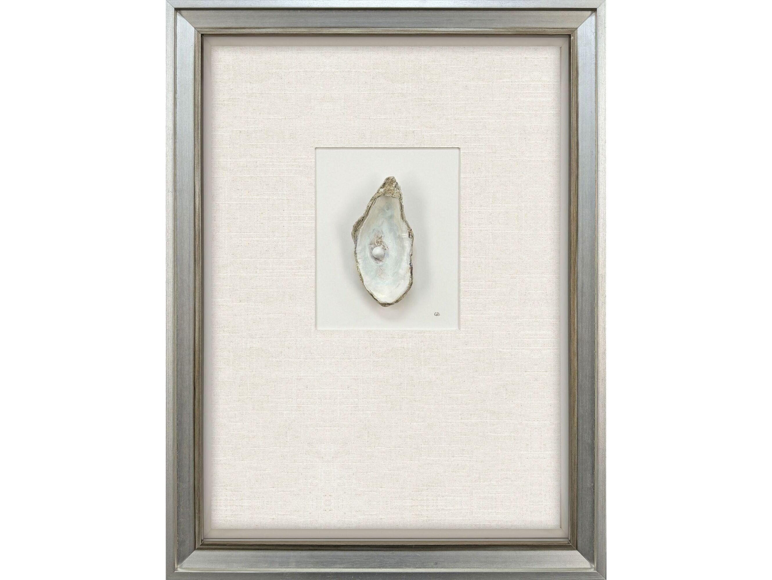 Paragon Oyster In Paradise II Shadow boxes