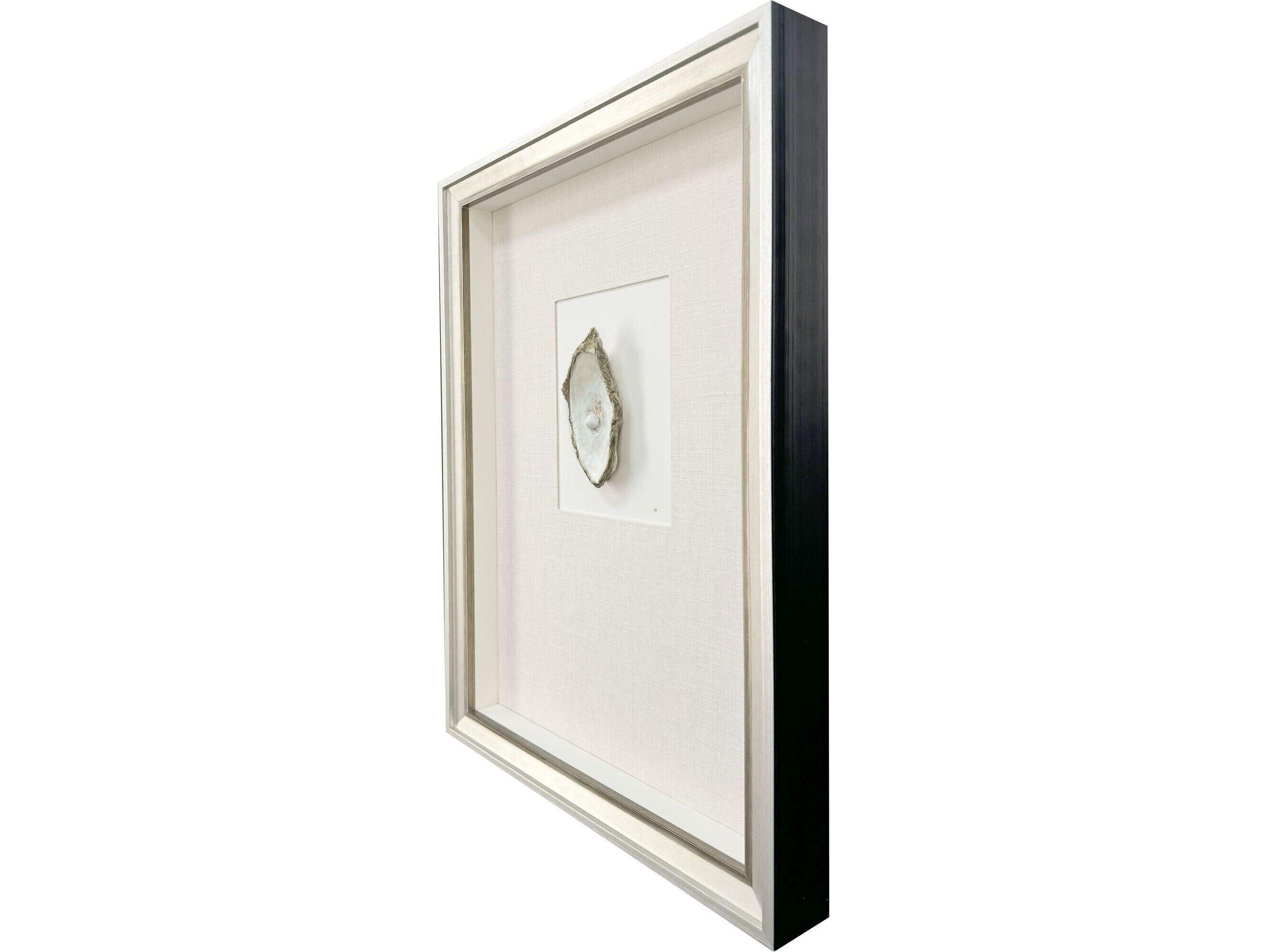 Paragon Oyster In Paradise II Shadow boxes