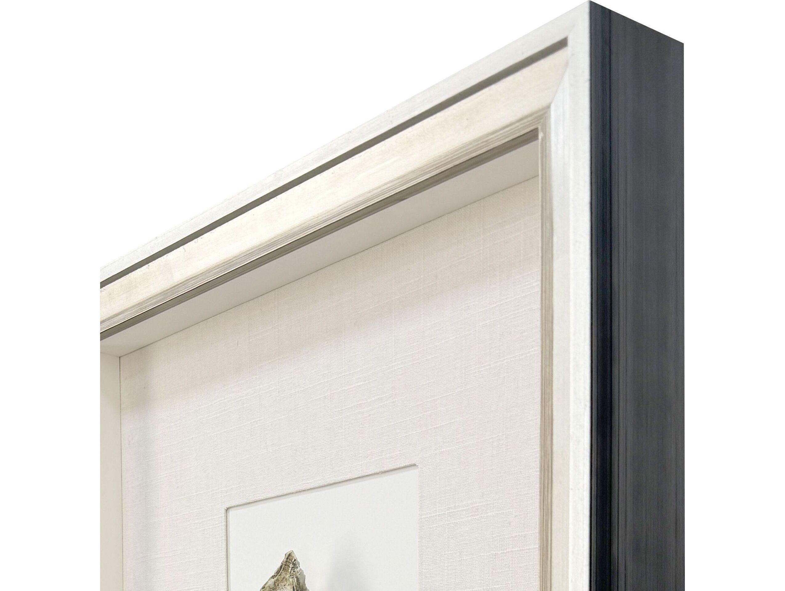 Paragon Oyster In Paradise II Shadow boxes