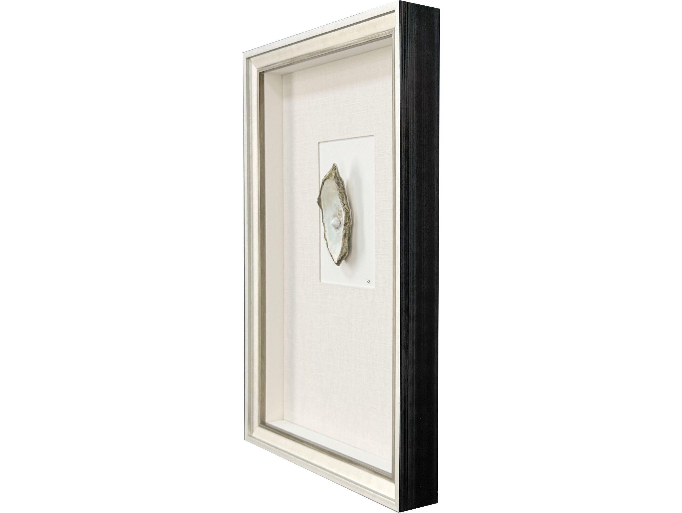 Paragon Oyster In Paradise III Shadow boxes