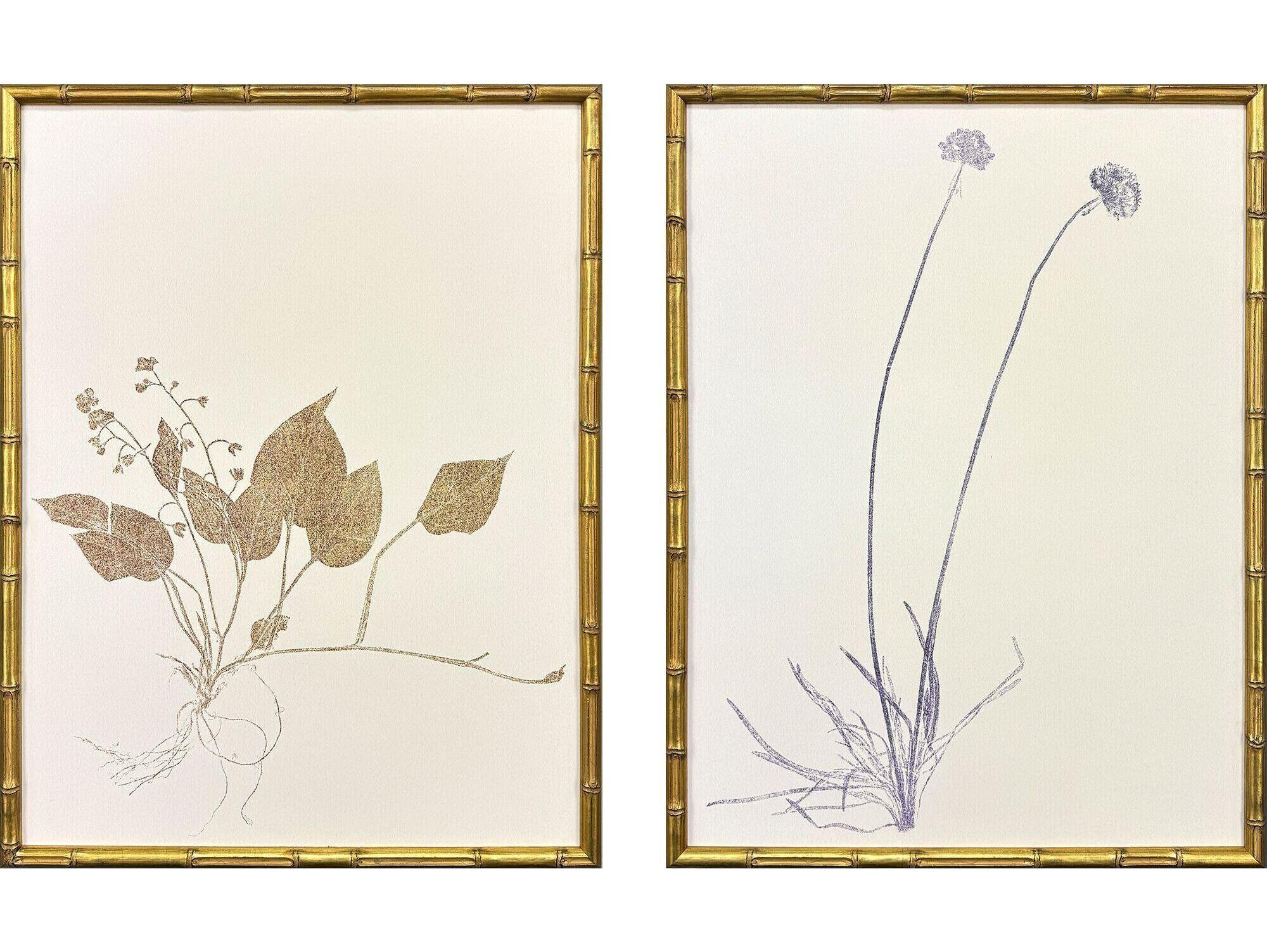 Paragon Floral Trace II Framed Art - Set of 2