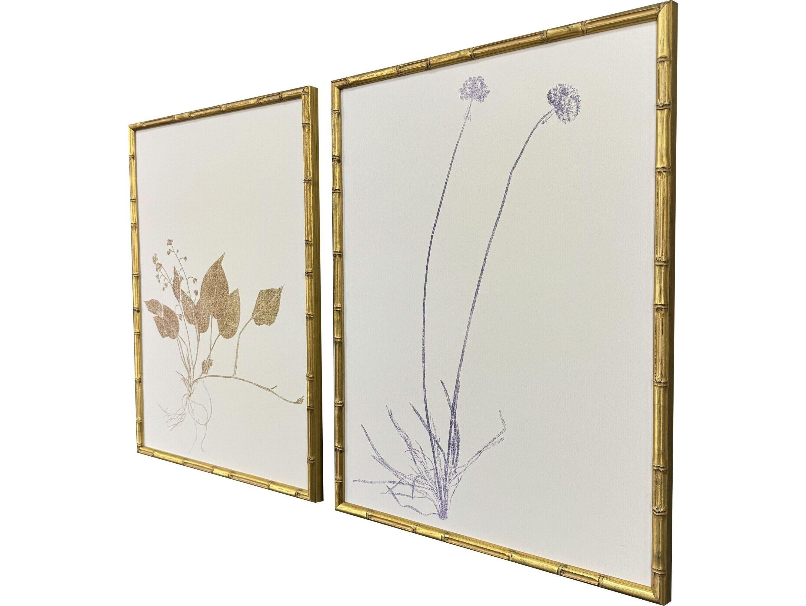 Paragon Floral Trace II Framed Art - Set of 2