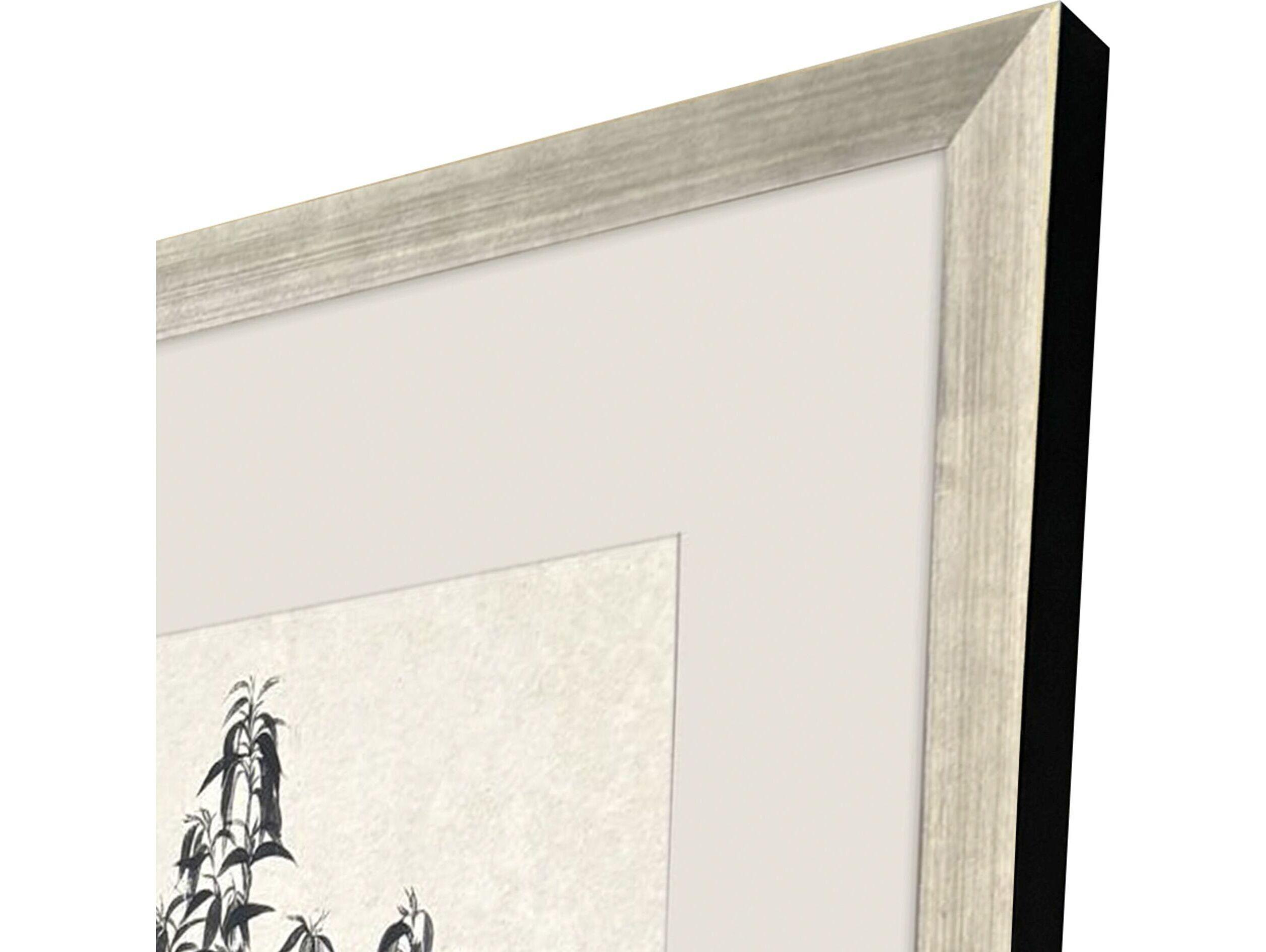 Paragon Forest Vista I Framed Art