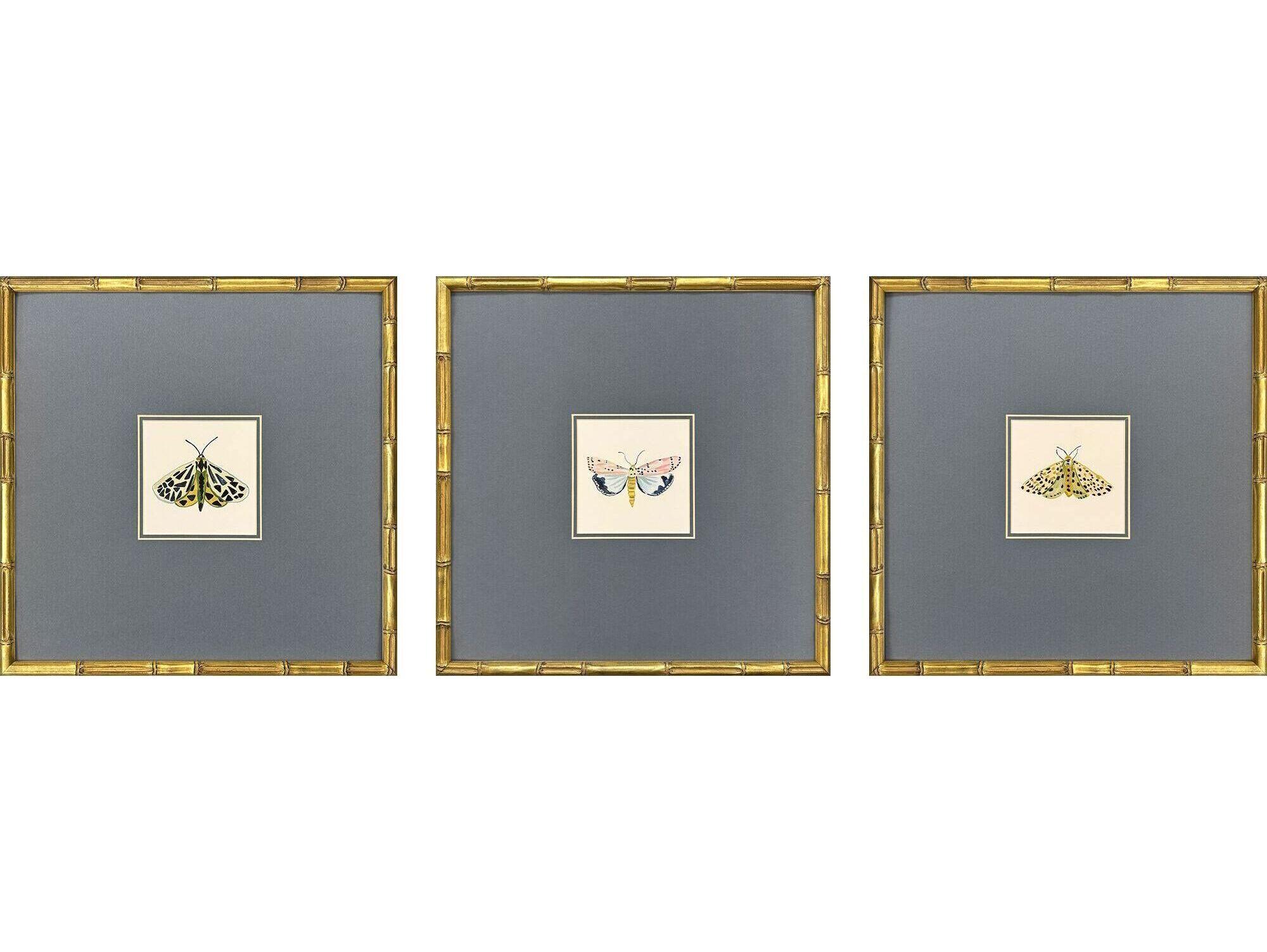 Paragon Pastel Moths I Framed Art - Set of 3