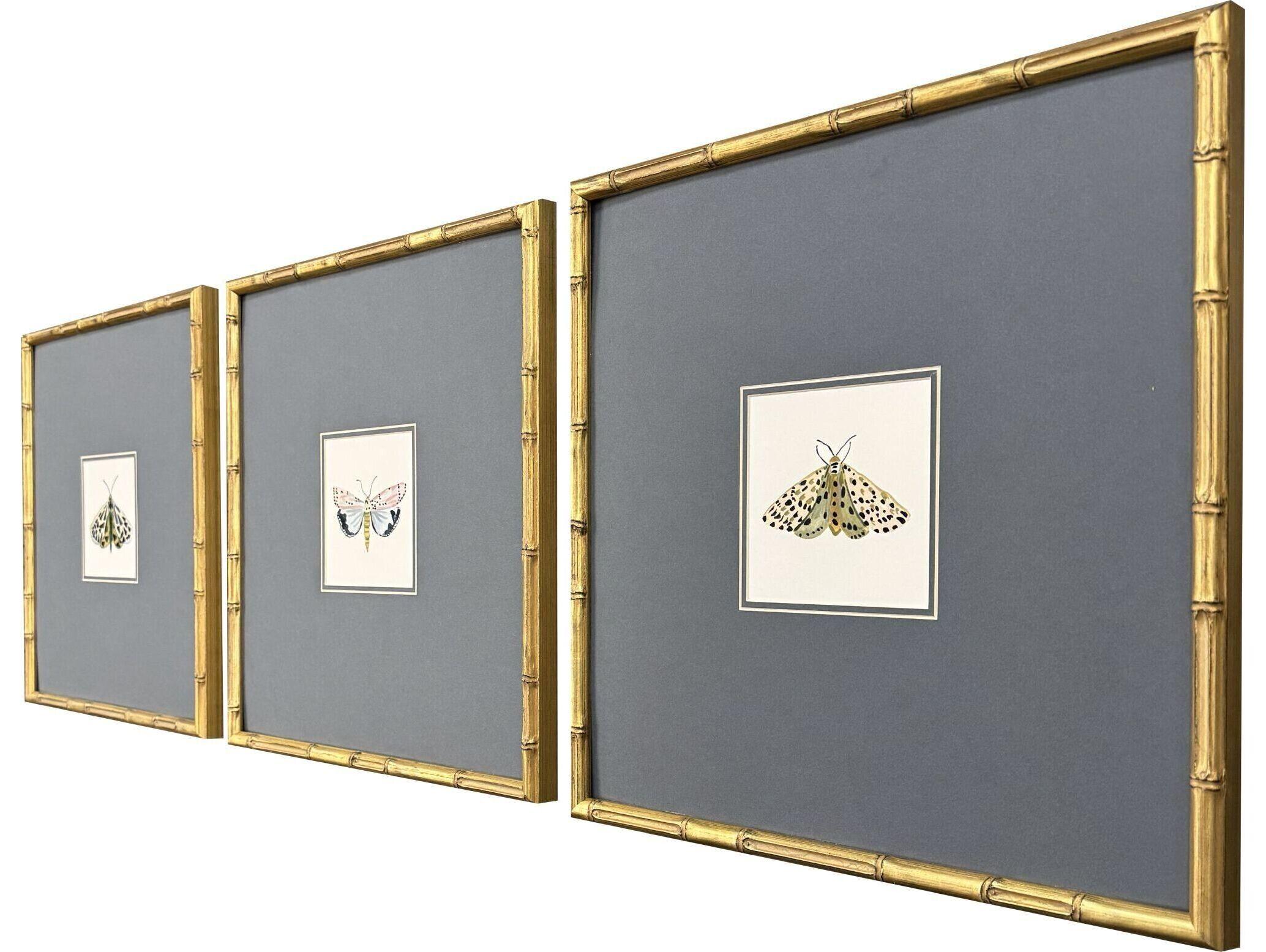 Paragon Pastel Moths I Framed Art - Set of 3
