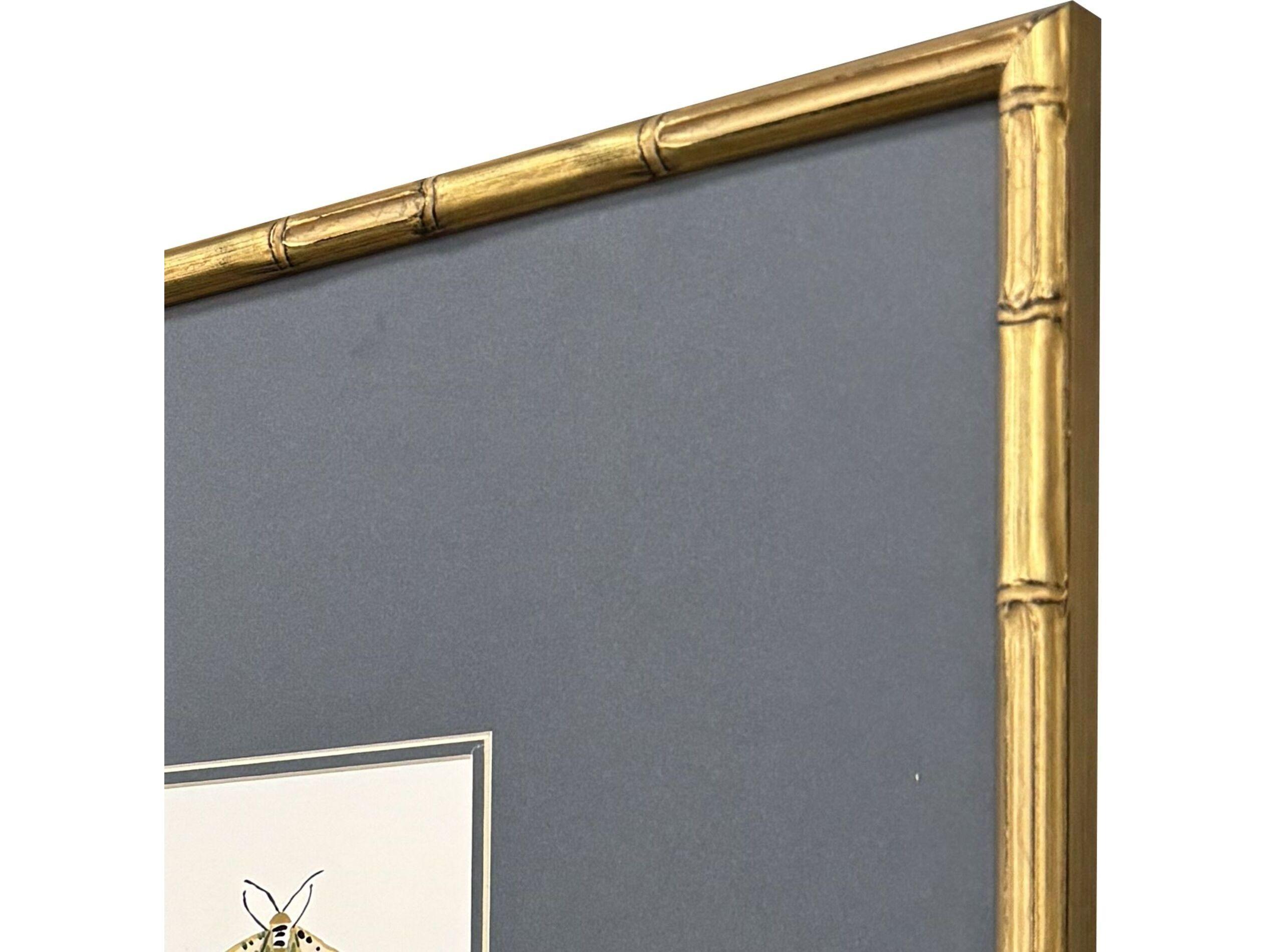 Paragon Pastel Moths I Framed Art - Set of 3