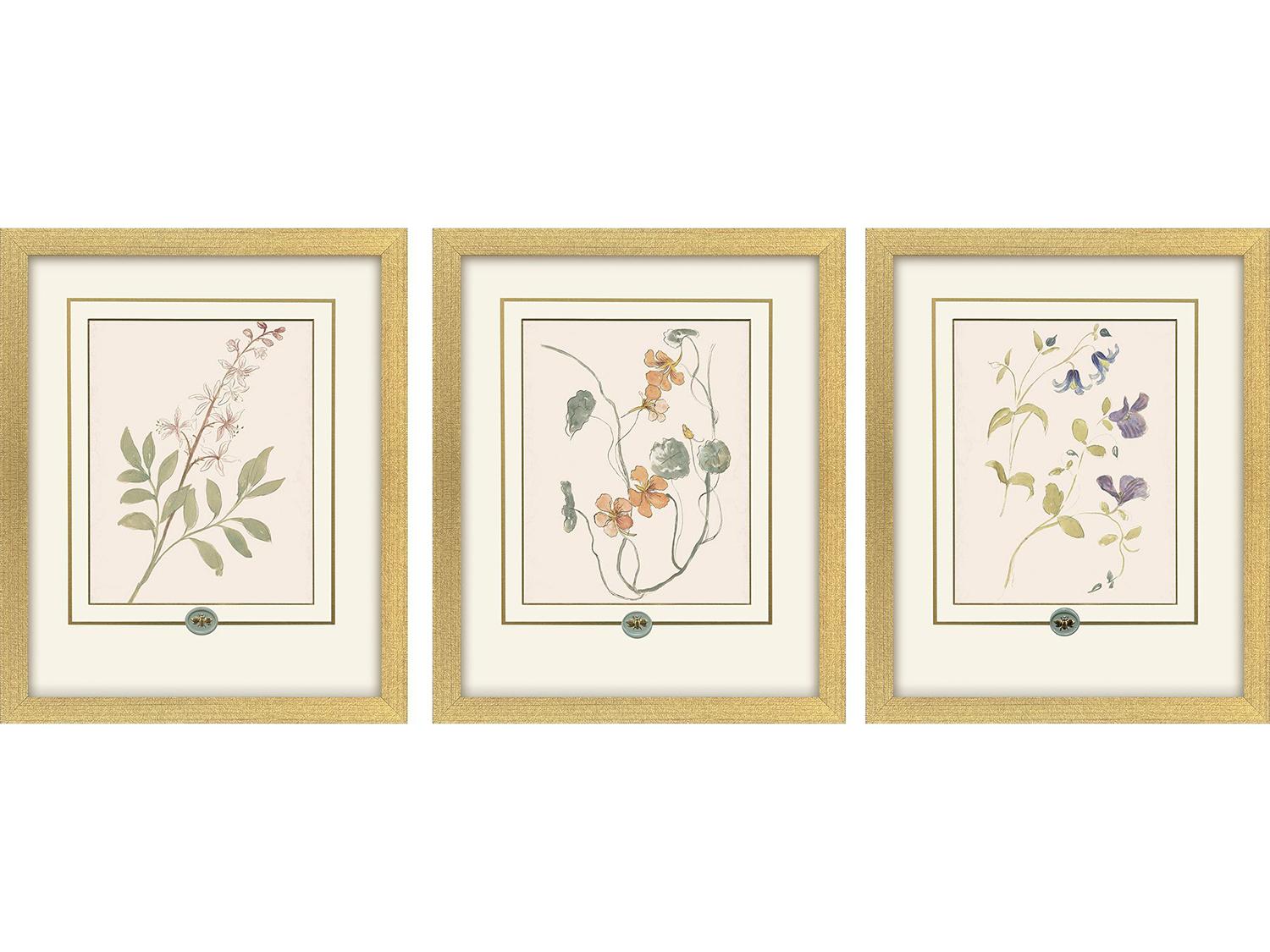 Paragon Garden Study I Framed Art - Set of 3