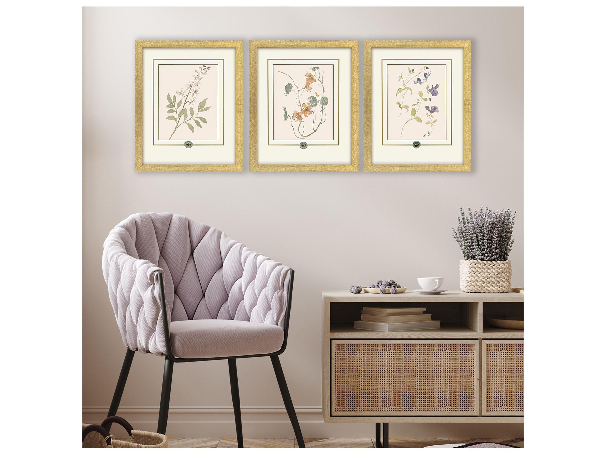 Paragon Garden Study I Framed Art - Set of 3