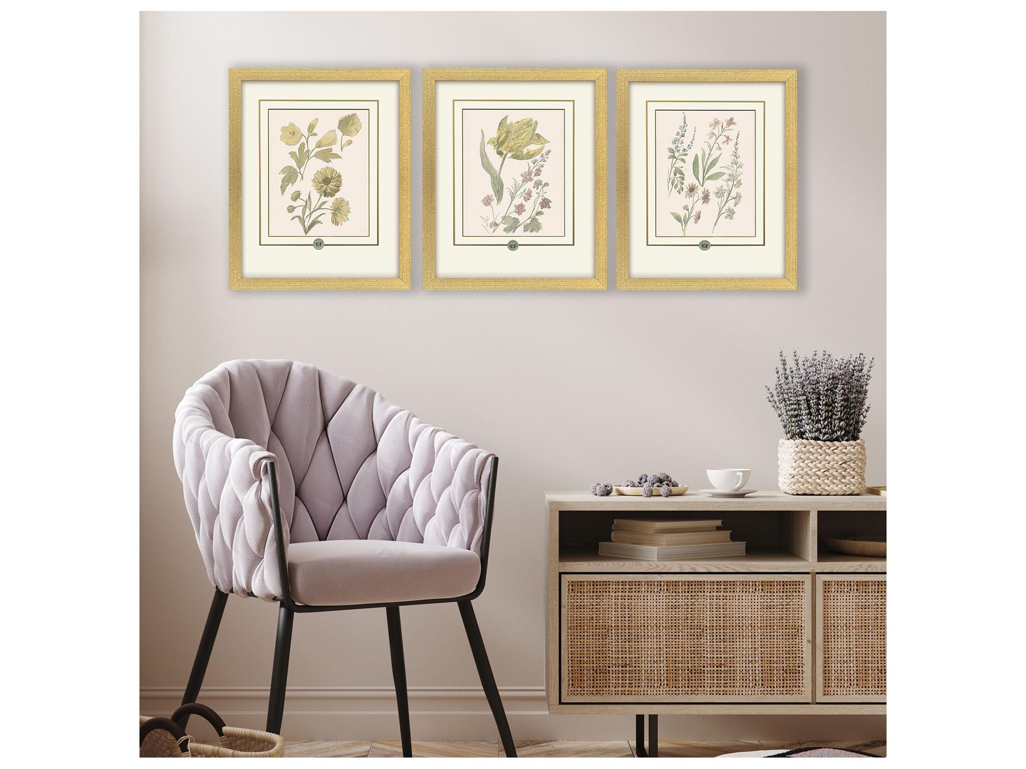 Paragon Garden Study III Framed Art - Set of 3