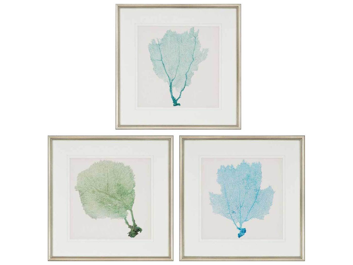 Paragon Naturals Sea Fan-I Wall Art Set of 3