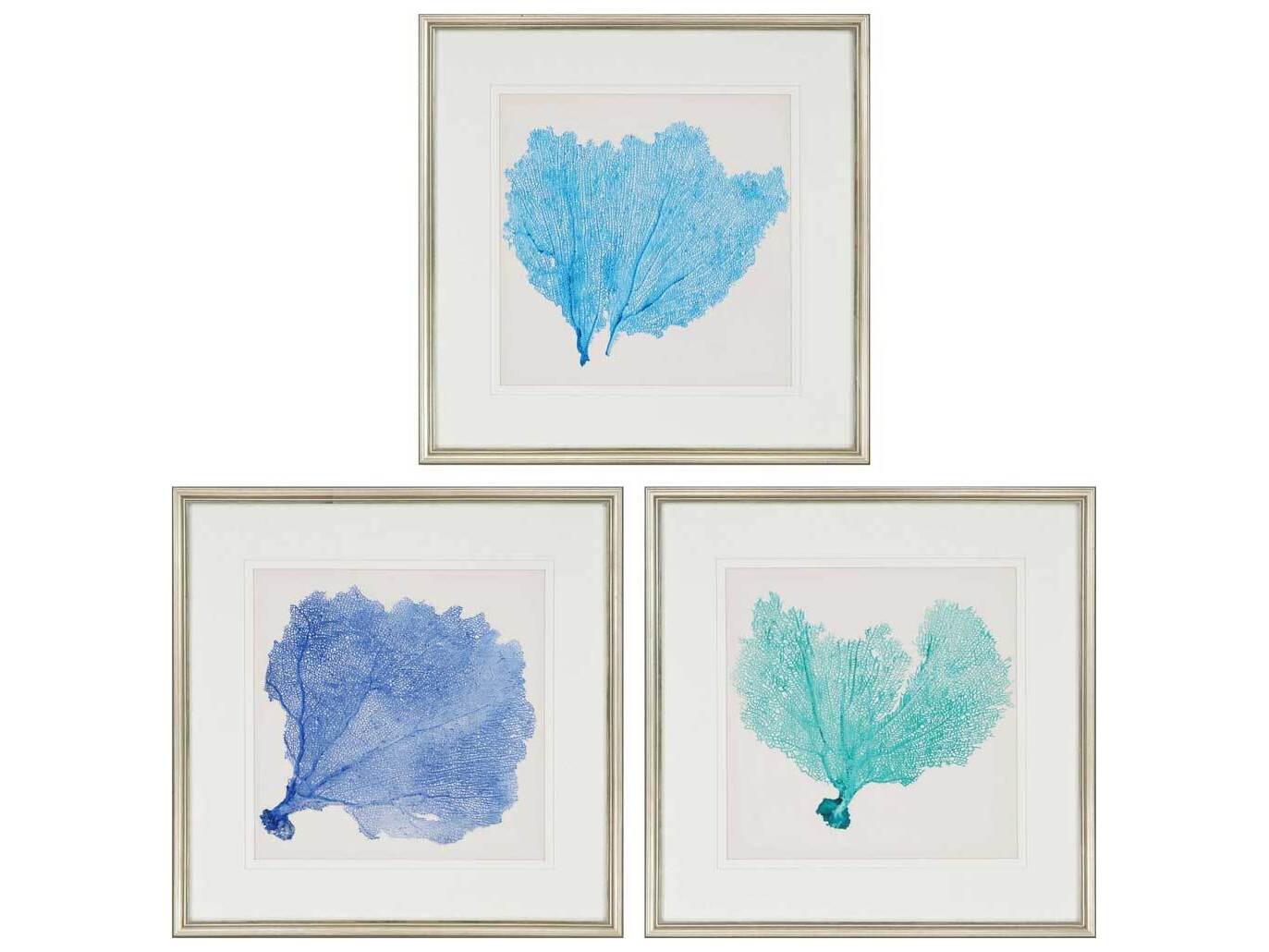 Paragon Naturals Sea Fan-II Wall Art Set of 3