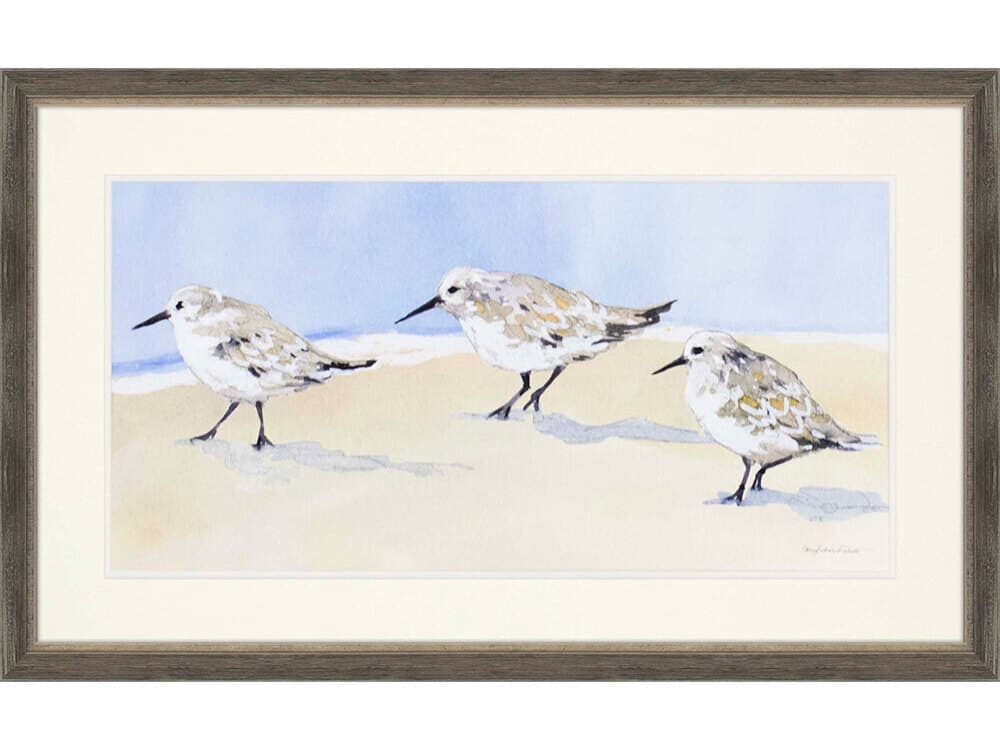 Paragon Animals Sandpipers-I Wall Art