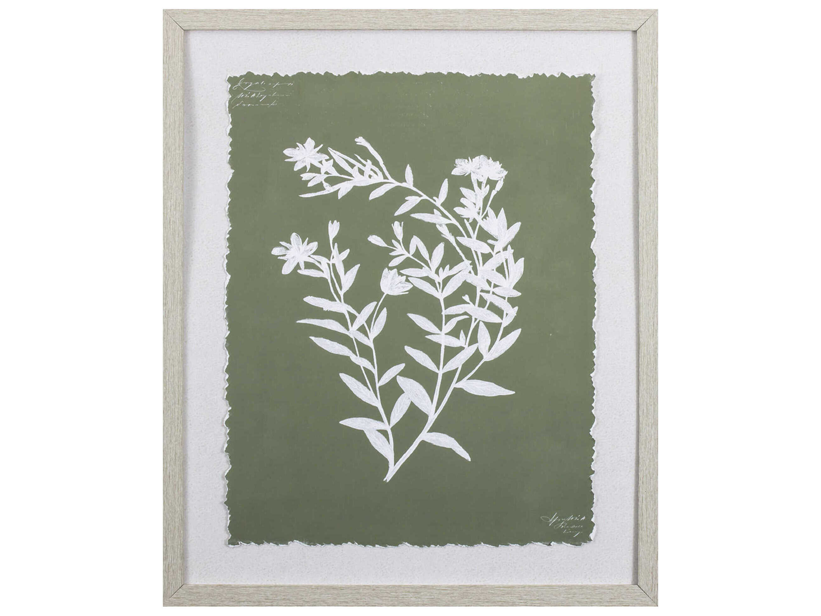 Paragon Florals Botanical Garden-III Wall Art