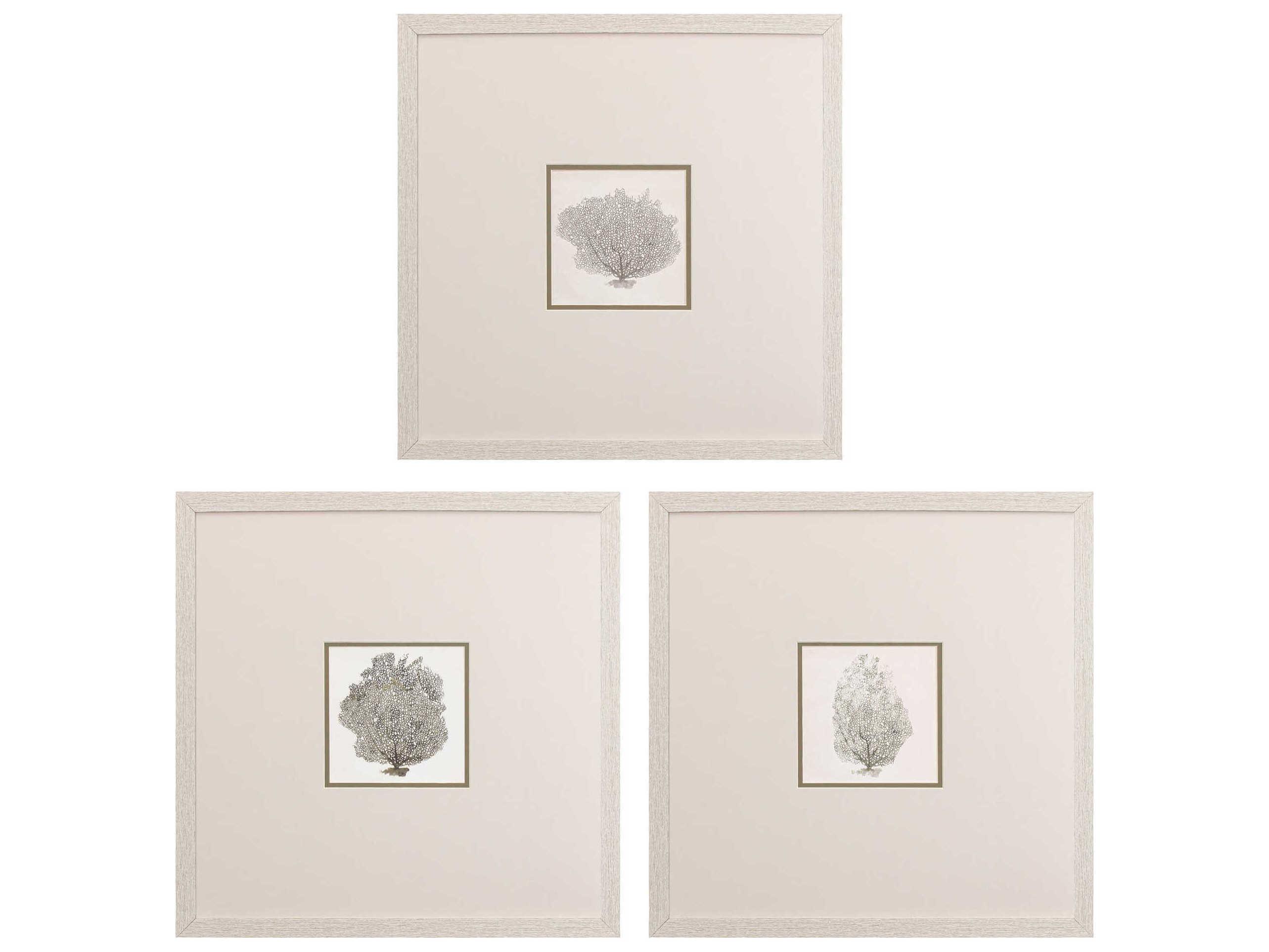 Paragon Waterside Corals-A Wall Art Set of 3