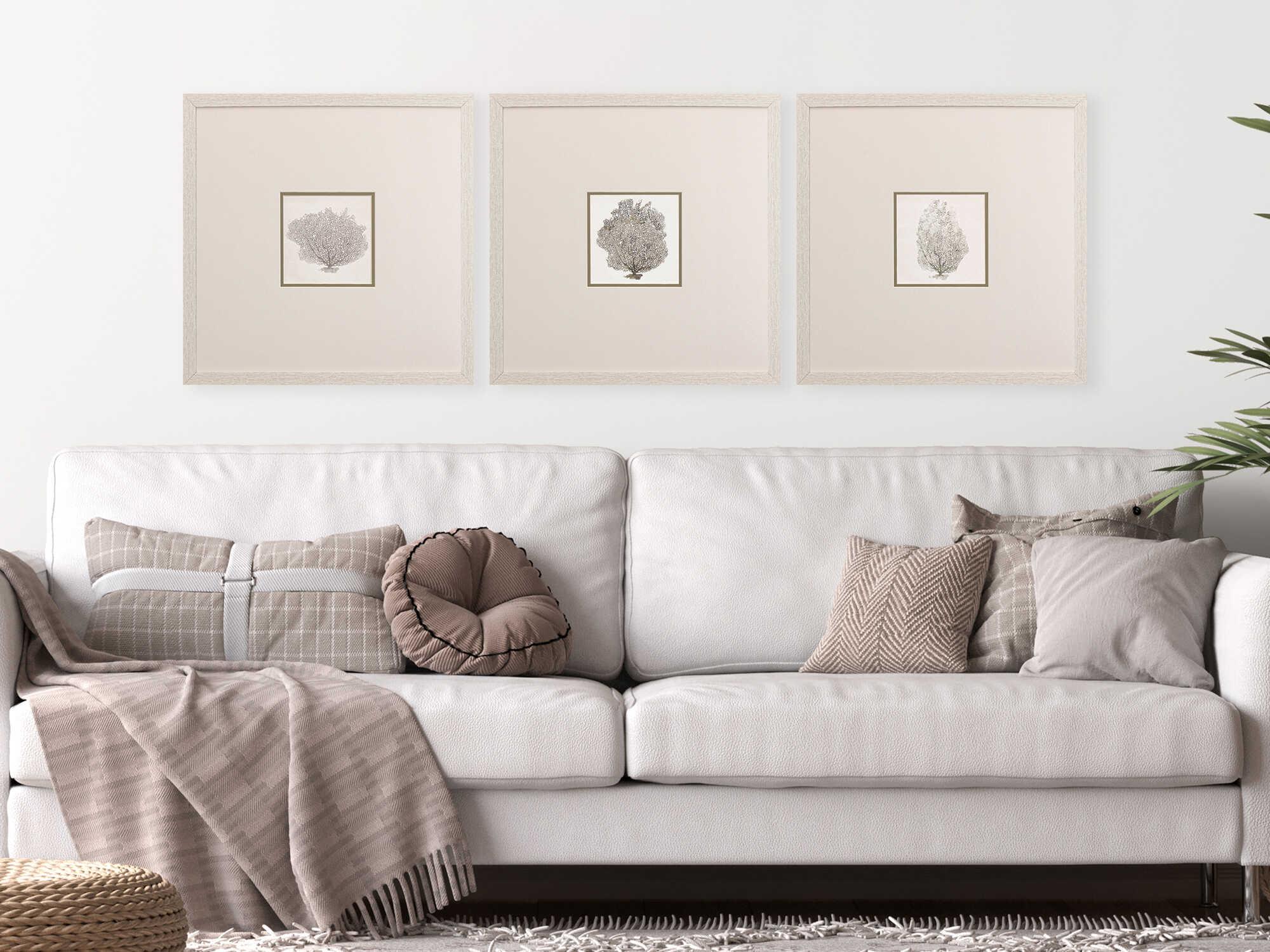 Paragon Waterside Corals-A Wall Art Set of 3