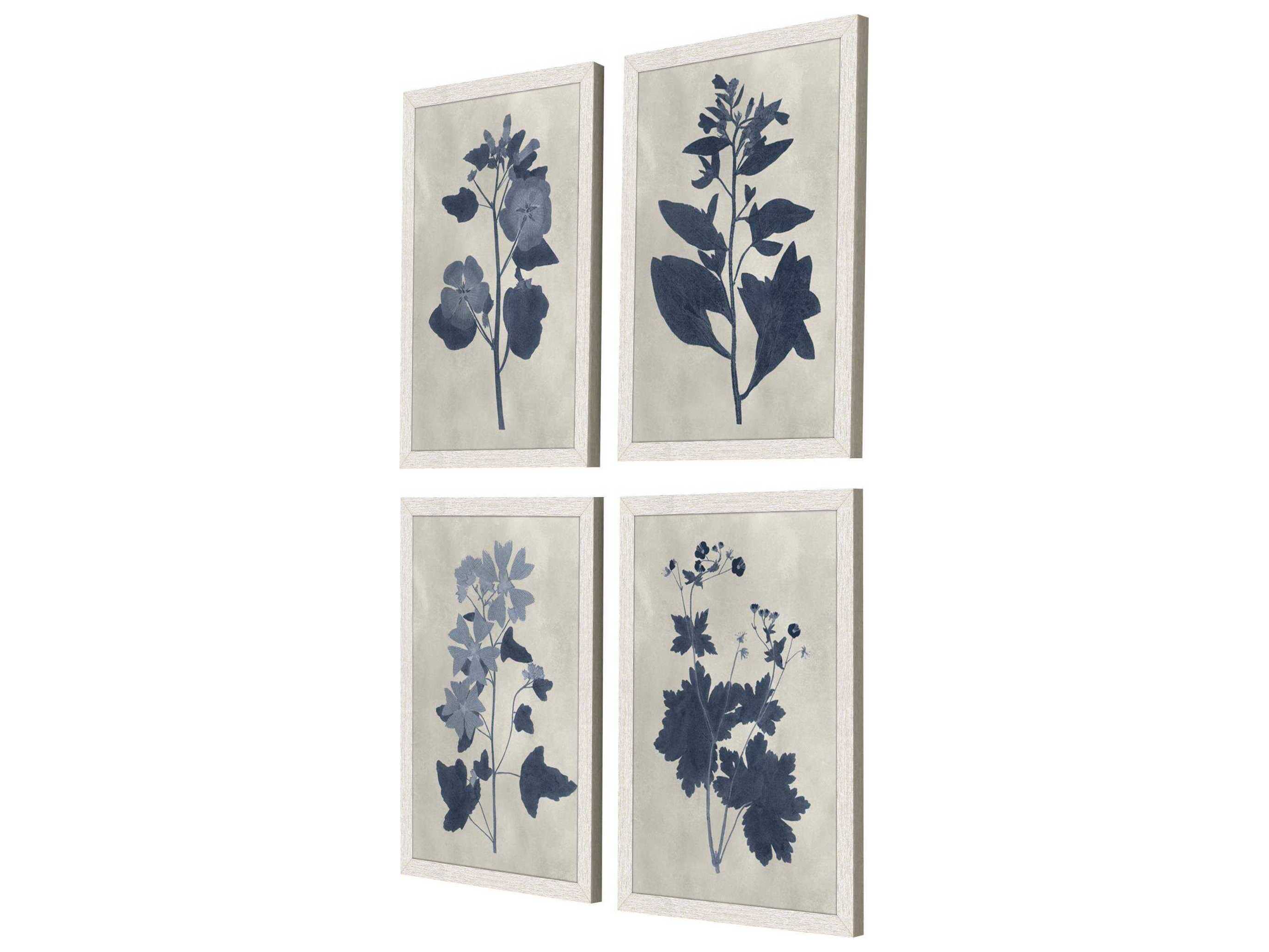 Paragon Florals Pressed Flower-II Wall Art Set of 4