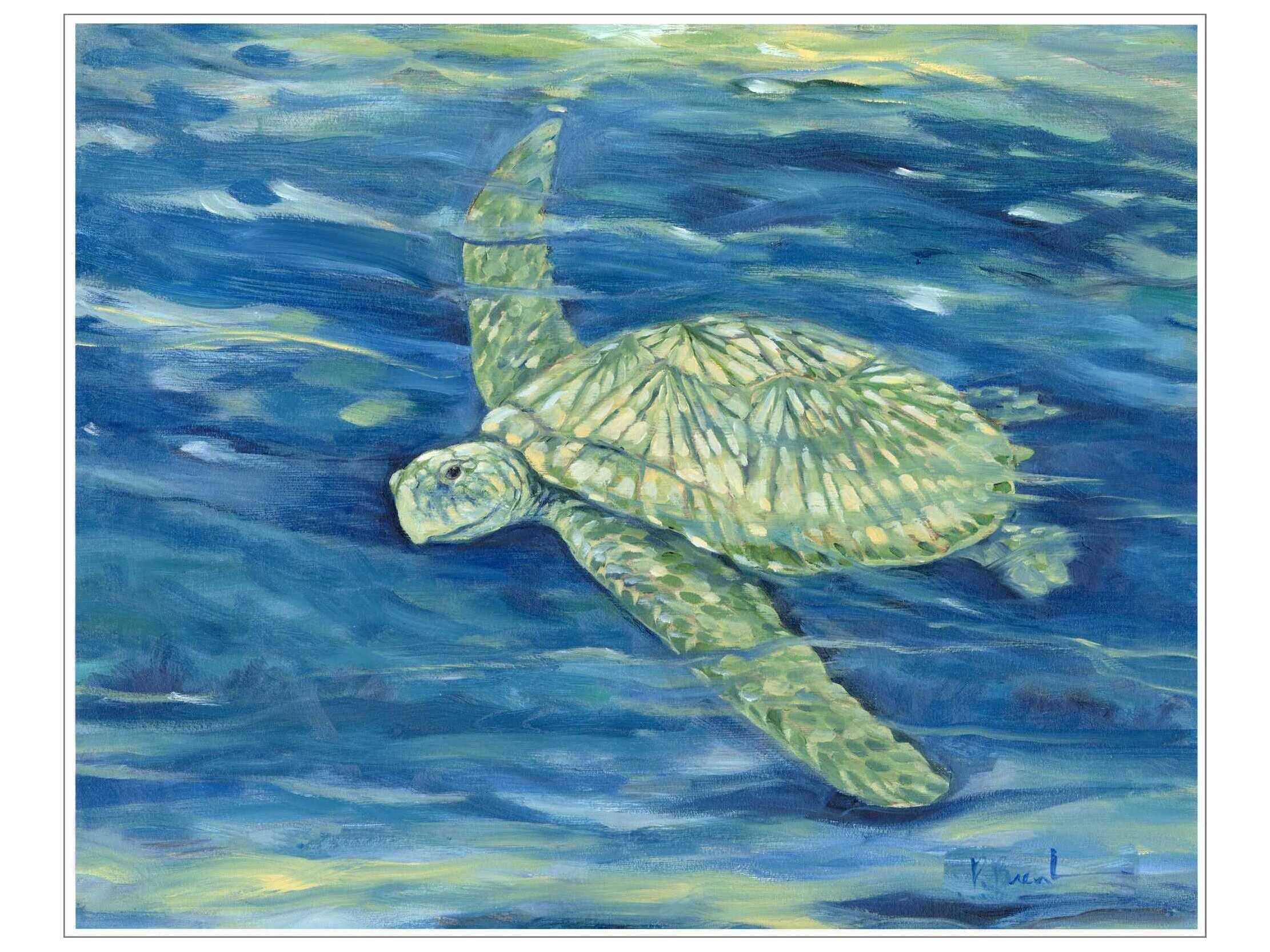 Paragon Animals Lagoon Turtle-II Canvas Wall Art