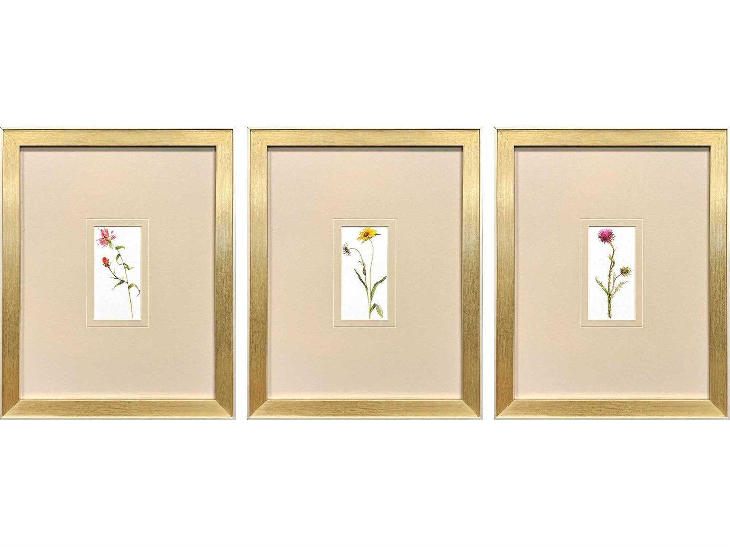 Paragon Florals Pretty Florals-I Wall Art Set of 3