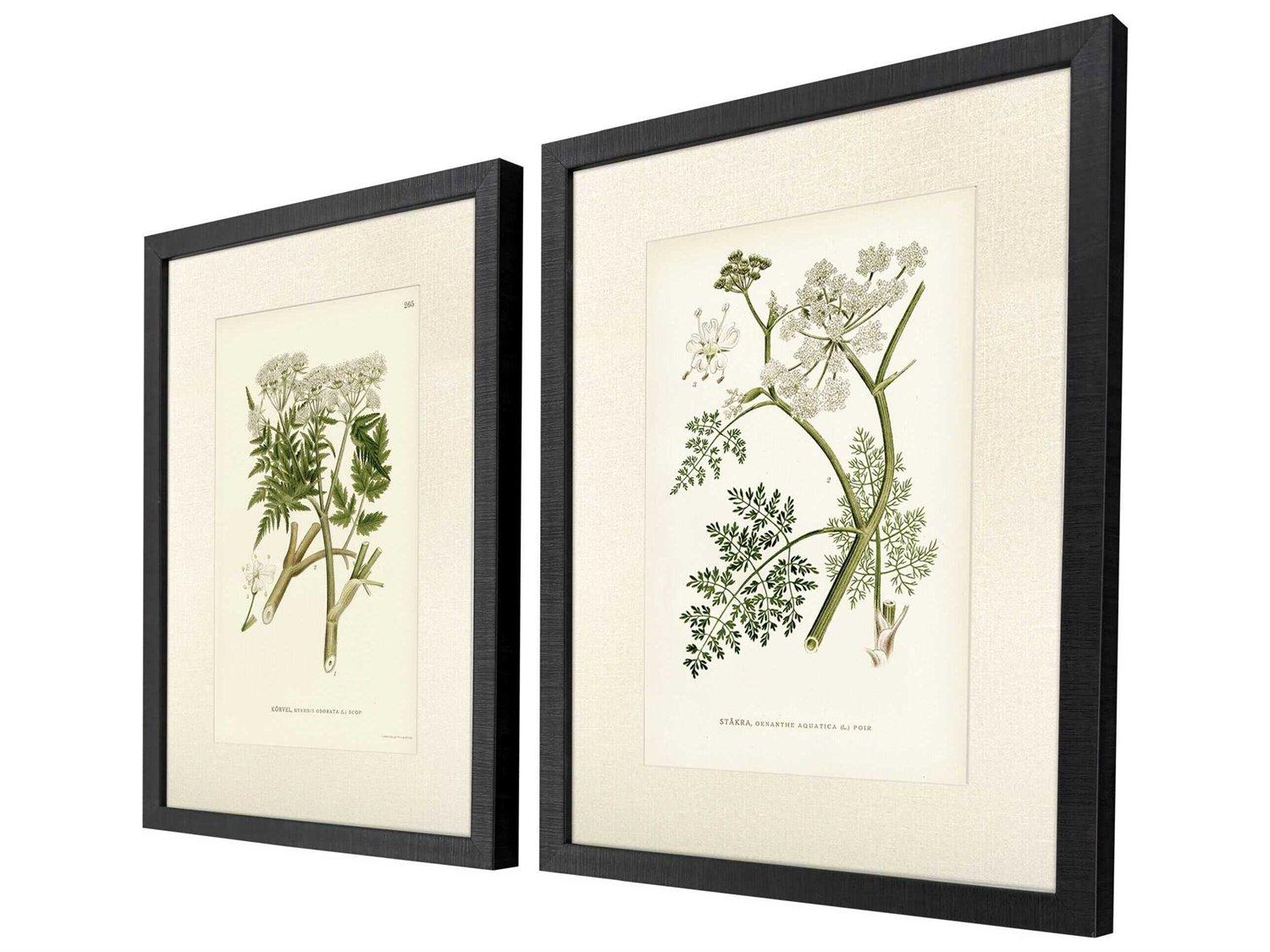Paragon Florals Queen's Lace-I Wall Art Set of 2