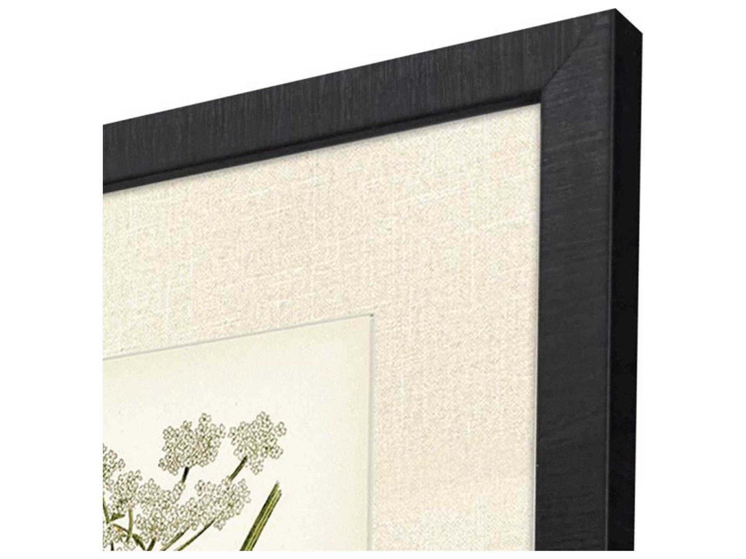 Paragon Florals Queen's Lace-I Wall Art Set of 2