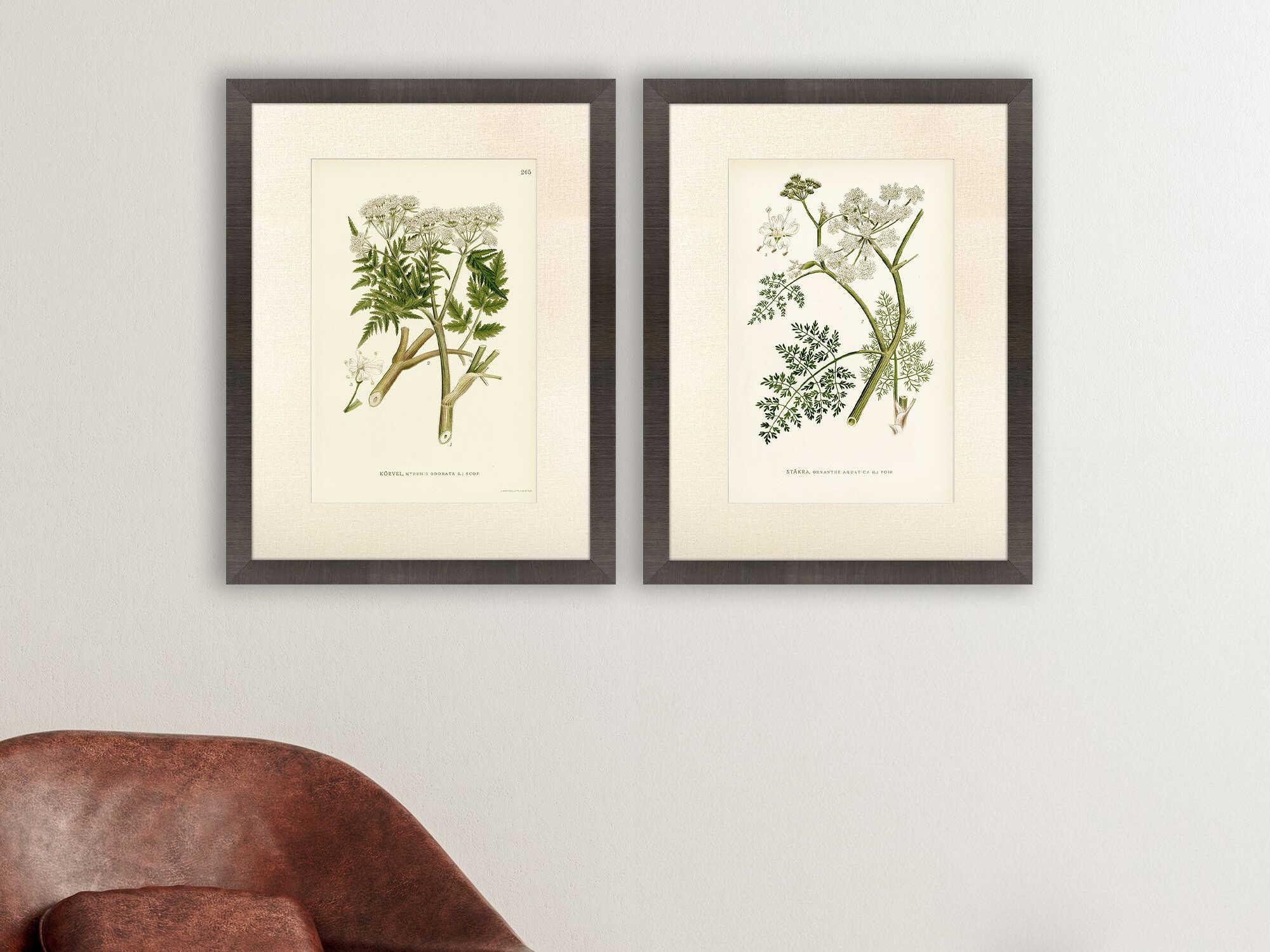 Paragon Florals Queen's Lace-I Wall Art Set of 2