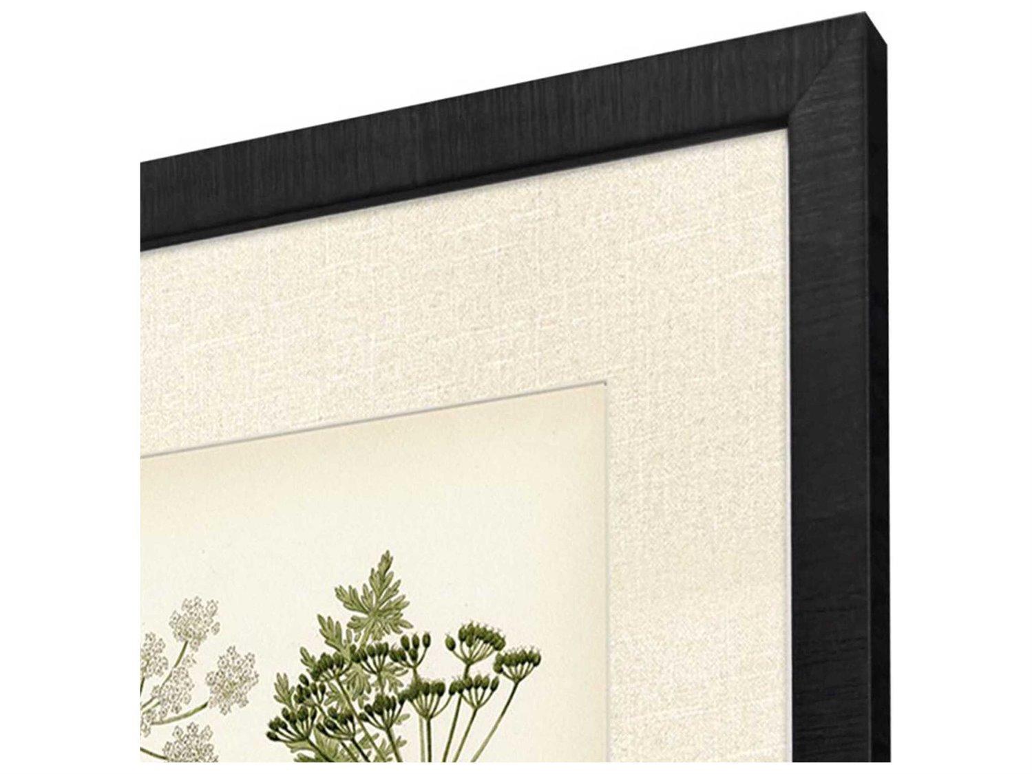 Paragon Florals Queen's Lace-II Wall Art Set of 2