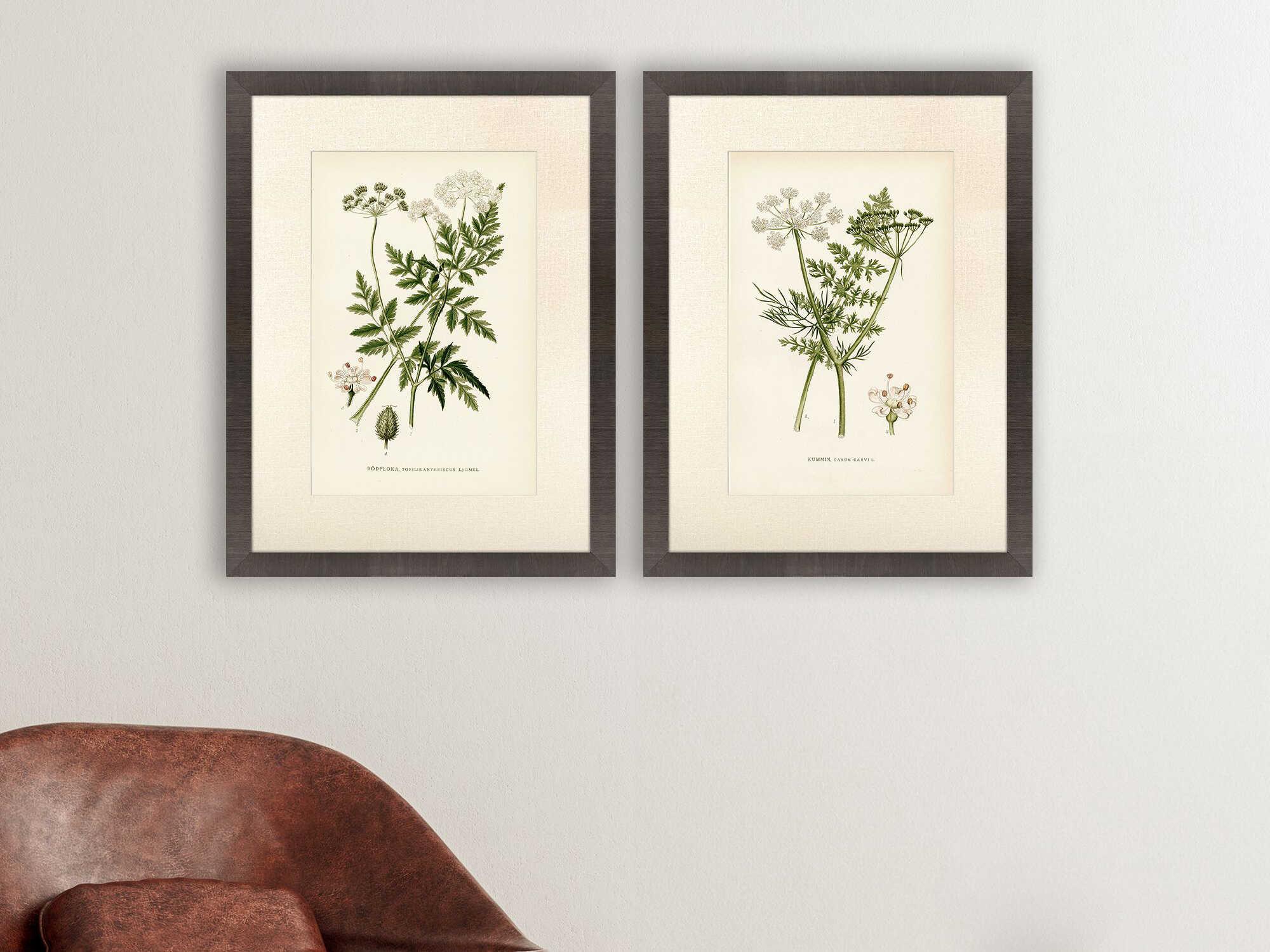 Paragon Florals Queen's Lace-II Wall Art Set of 2
