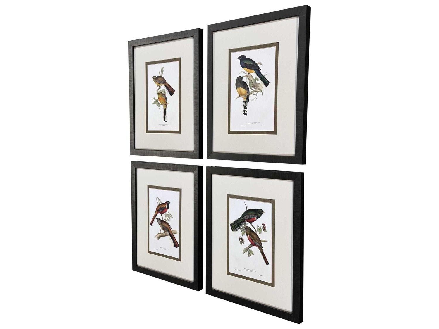 Paragon Animals Elegant Trogons Wall Art Set of 4