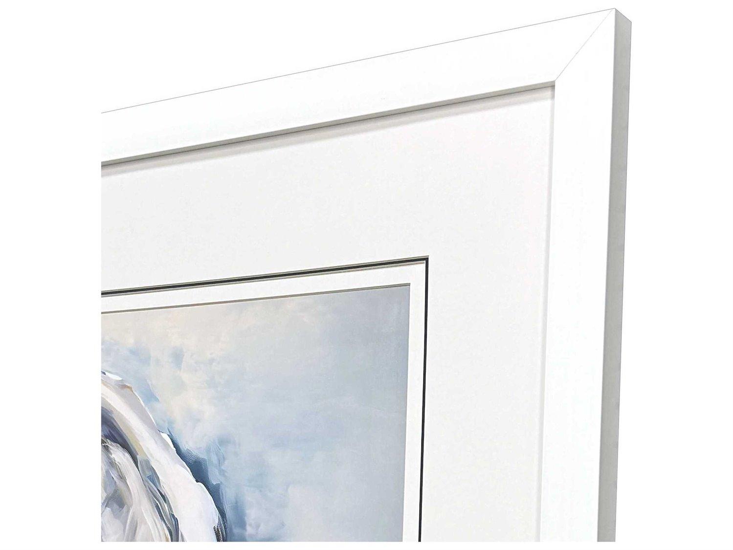 Paragon Naturals Mollusk-II Wall Art