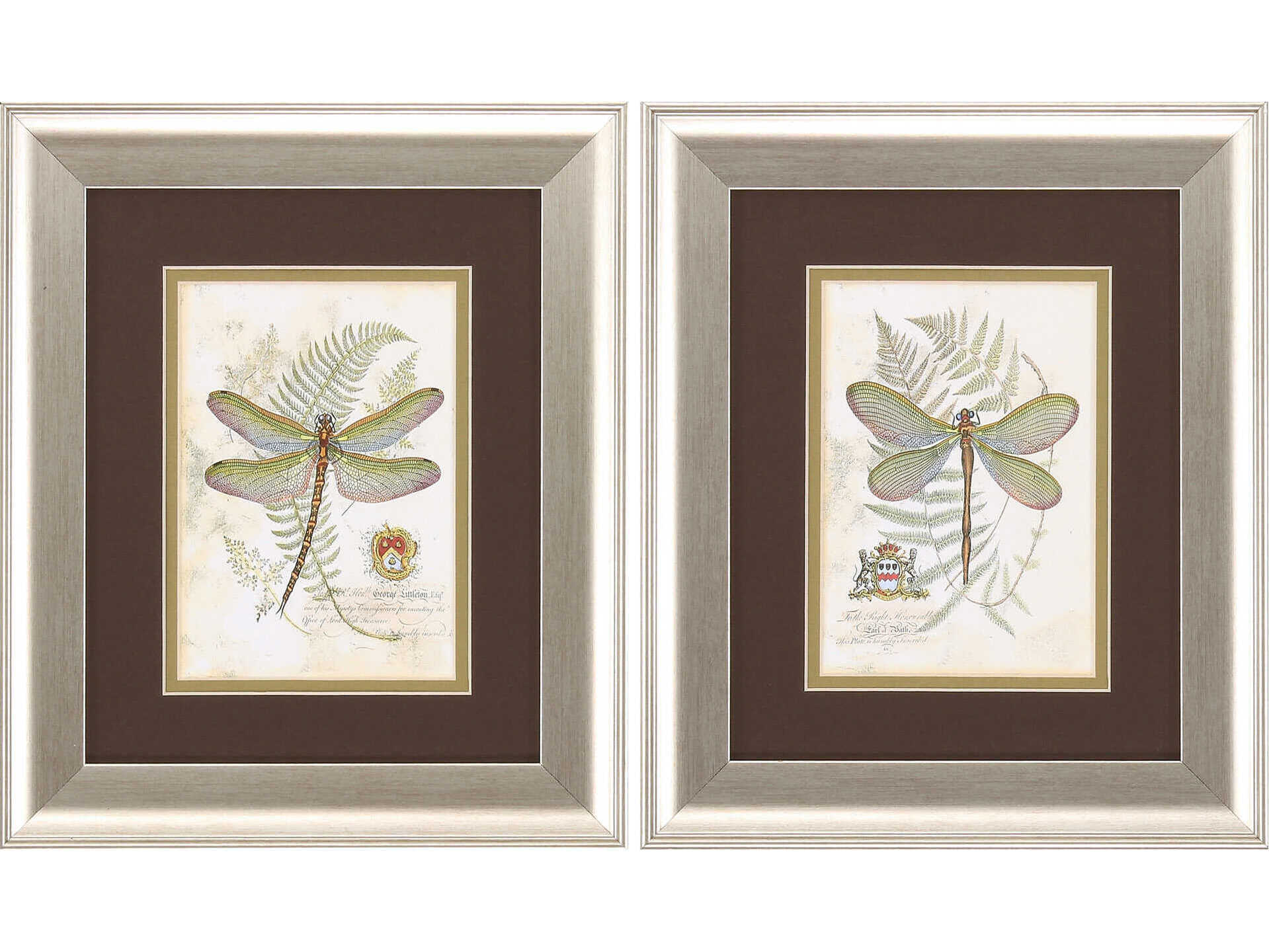 Paragon Florals Dragonfly Wall Art Set of 2