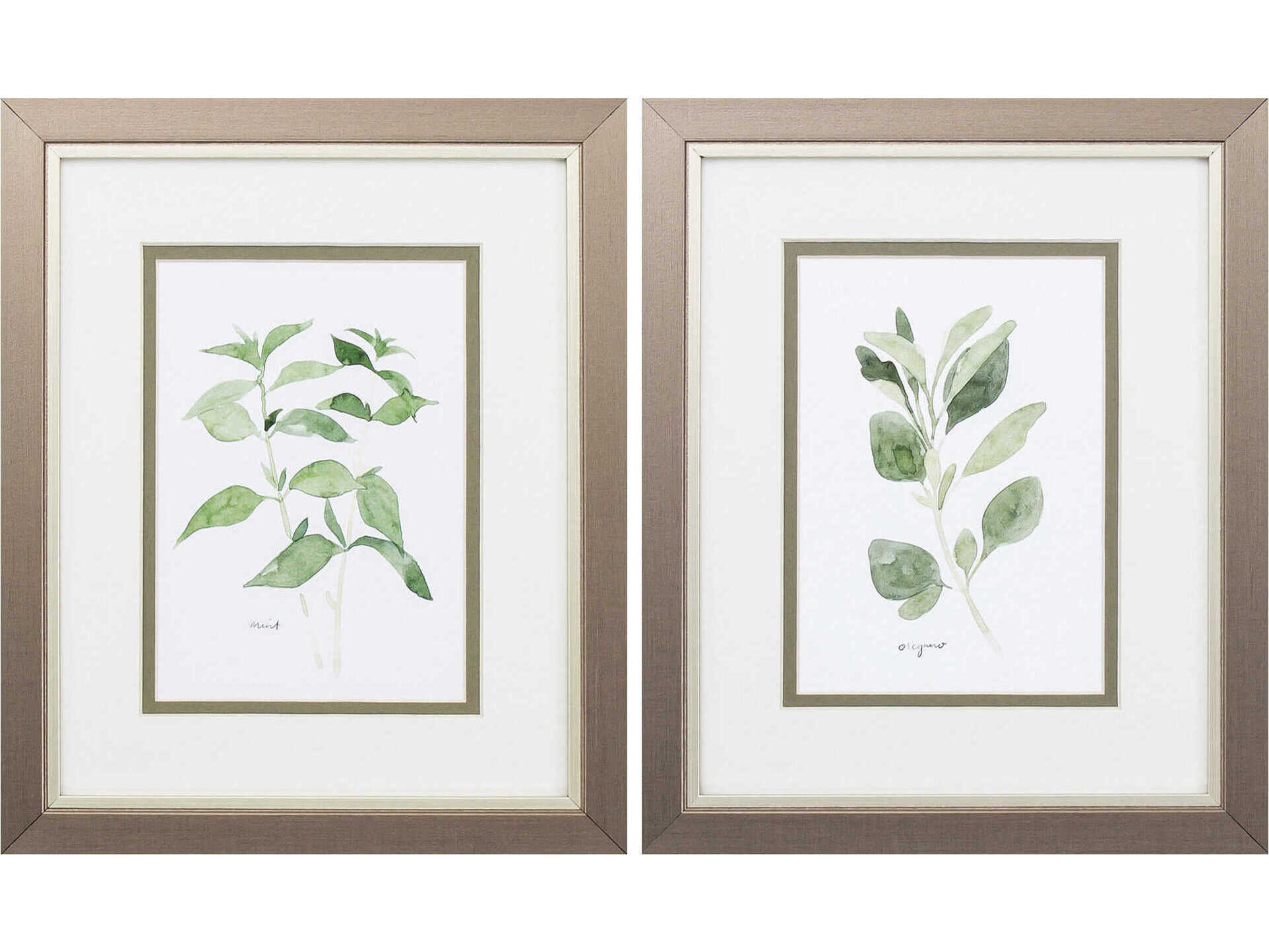 Paragon Florals Herb Garden Sketches Wall Art Set of 2