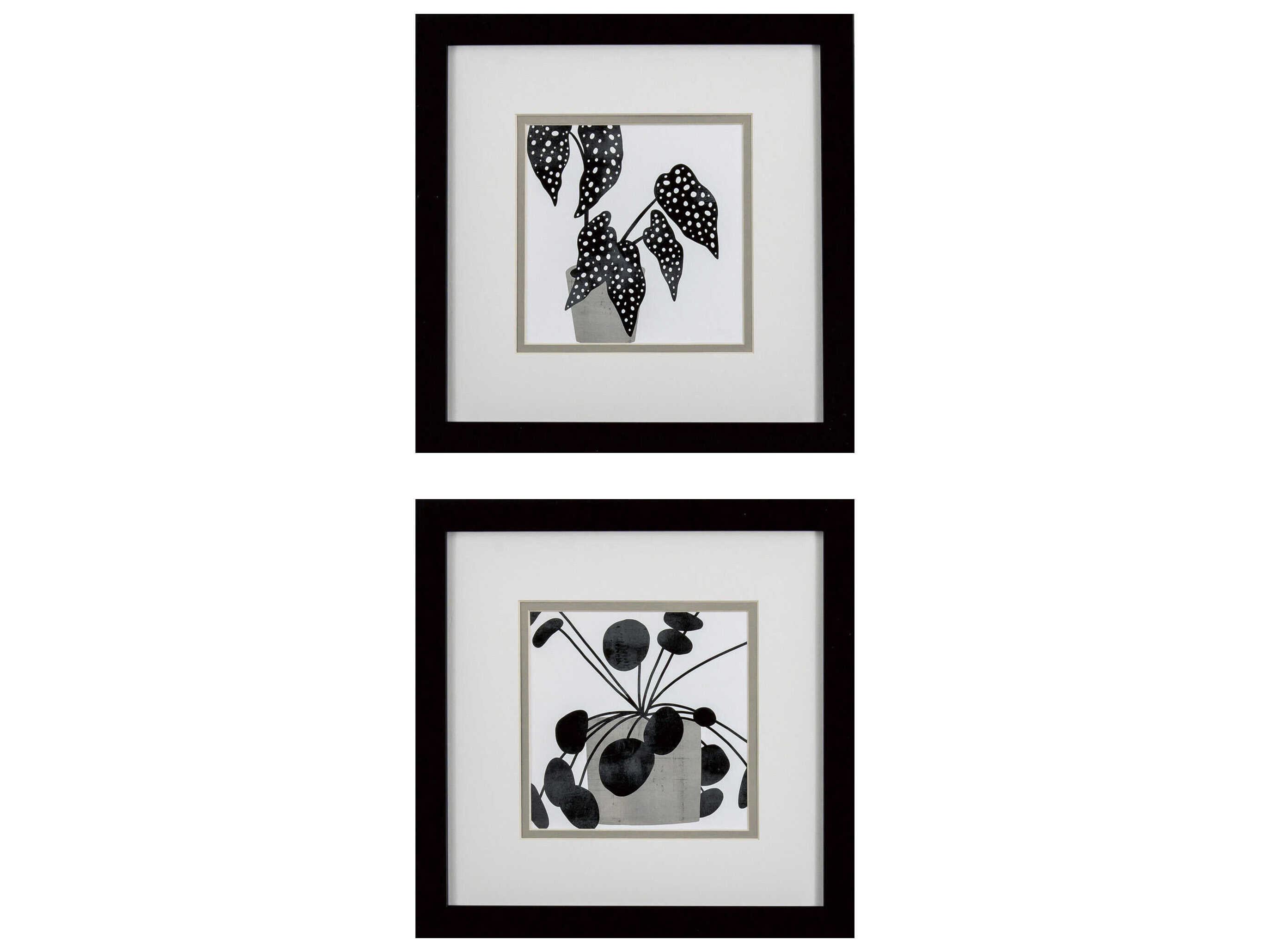 Paragon Florals Plantling-B Wall Art Set of 2