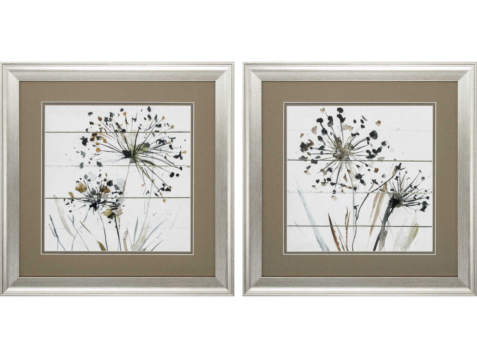 Paragon Florals Natures Lace Wall Art Set of 2