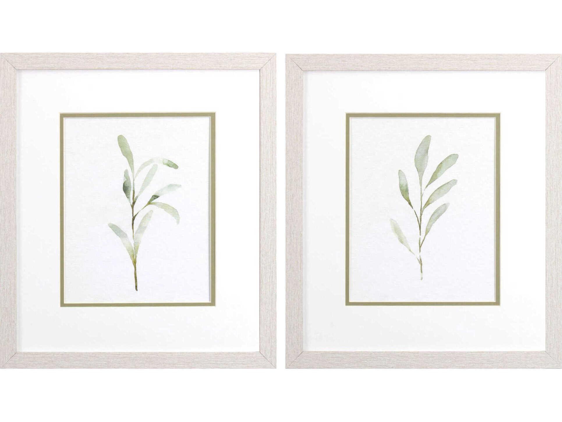Paragon Florals Olive Leaves Wall Art Set of 2