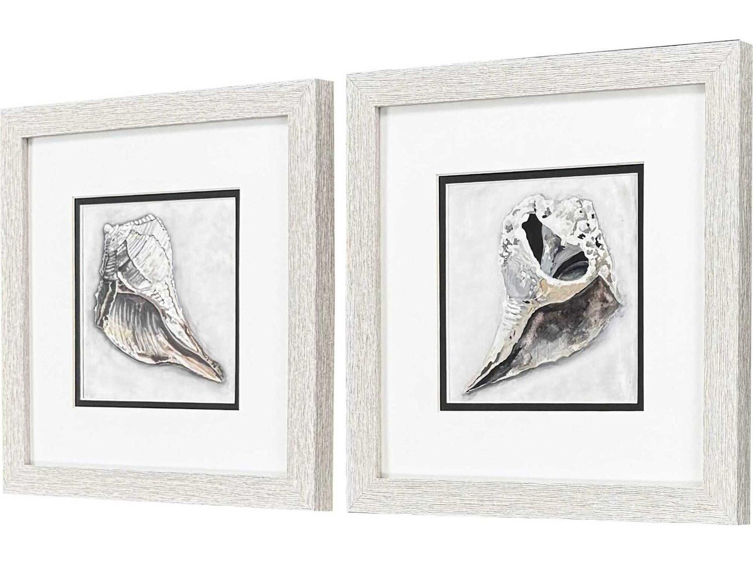 Paragon Waterside Ocean Treasure Wall Art Set of 2