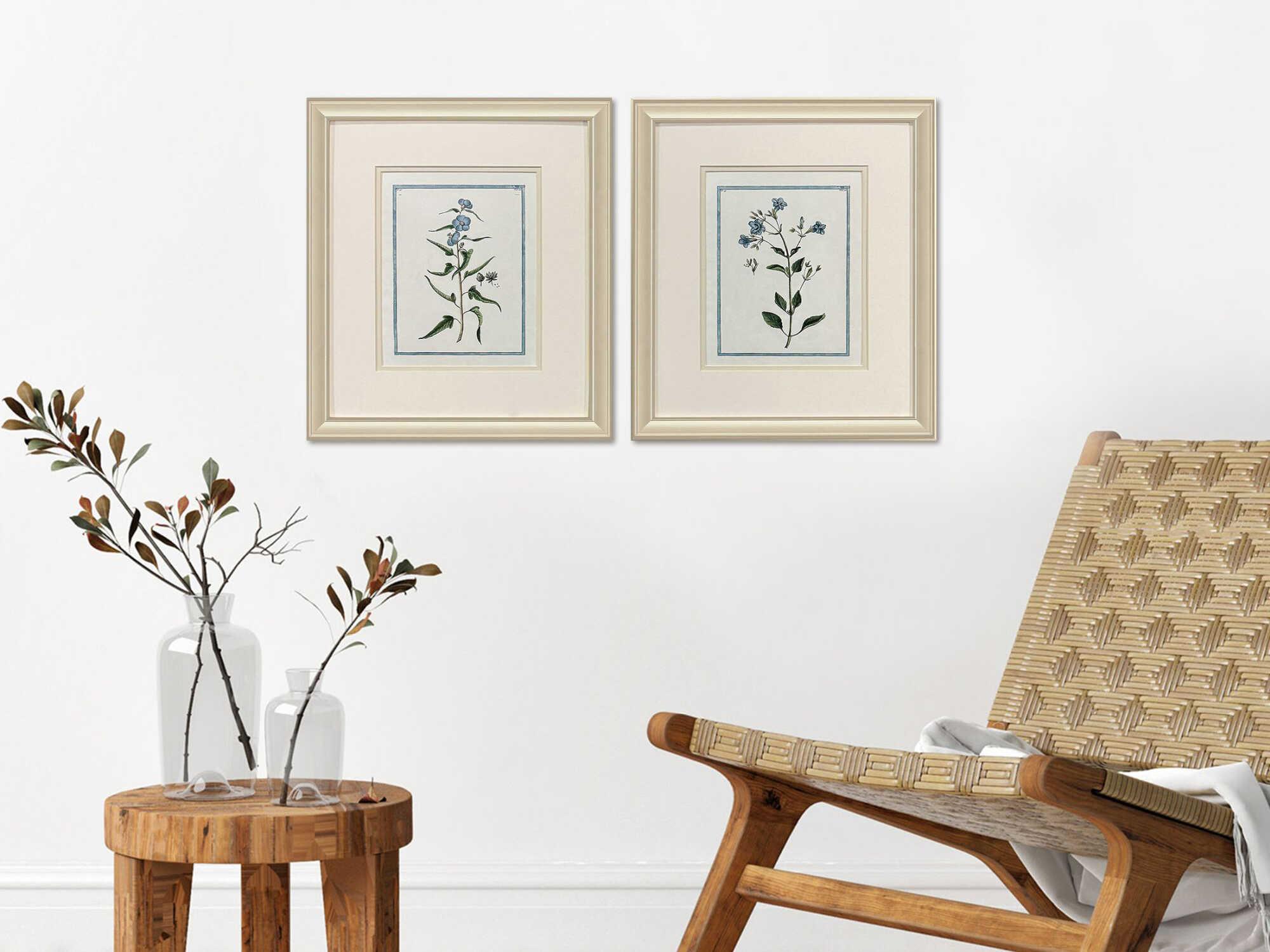 Paragon Florals Shabby Chic Botanical Wall Art Set of 2