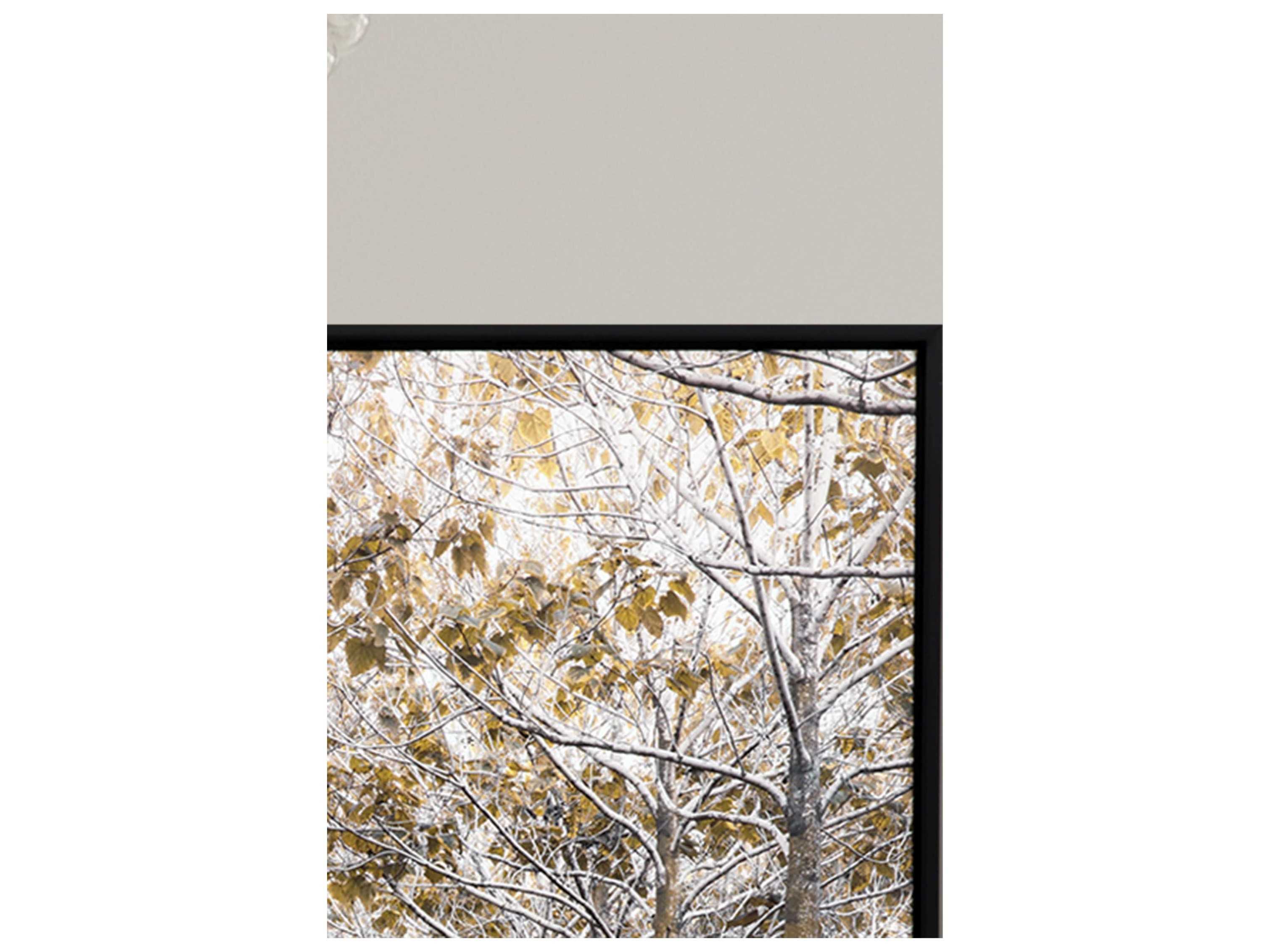 Paragon Frank Wall Decor