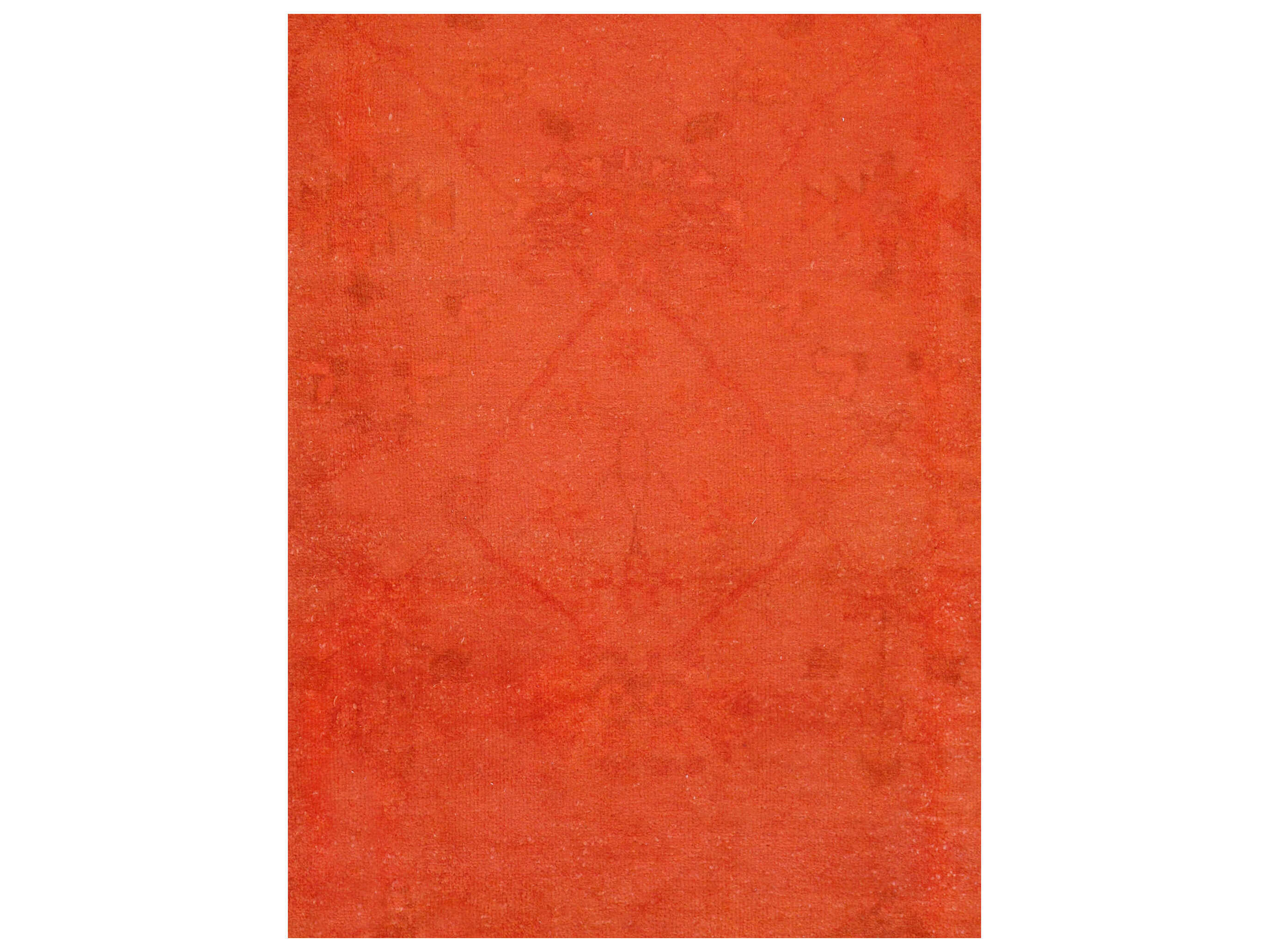 Pasargad Home Lahore Bordered Area Rug