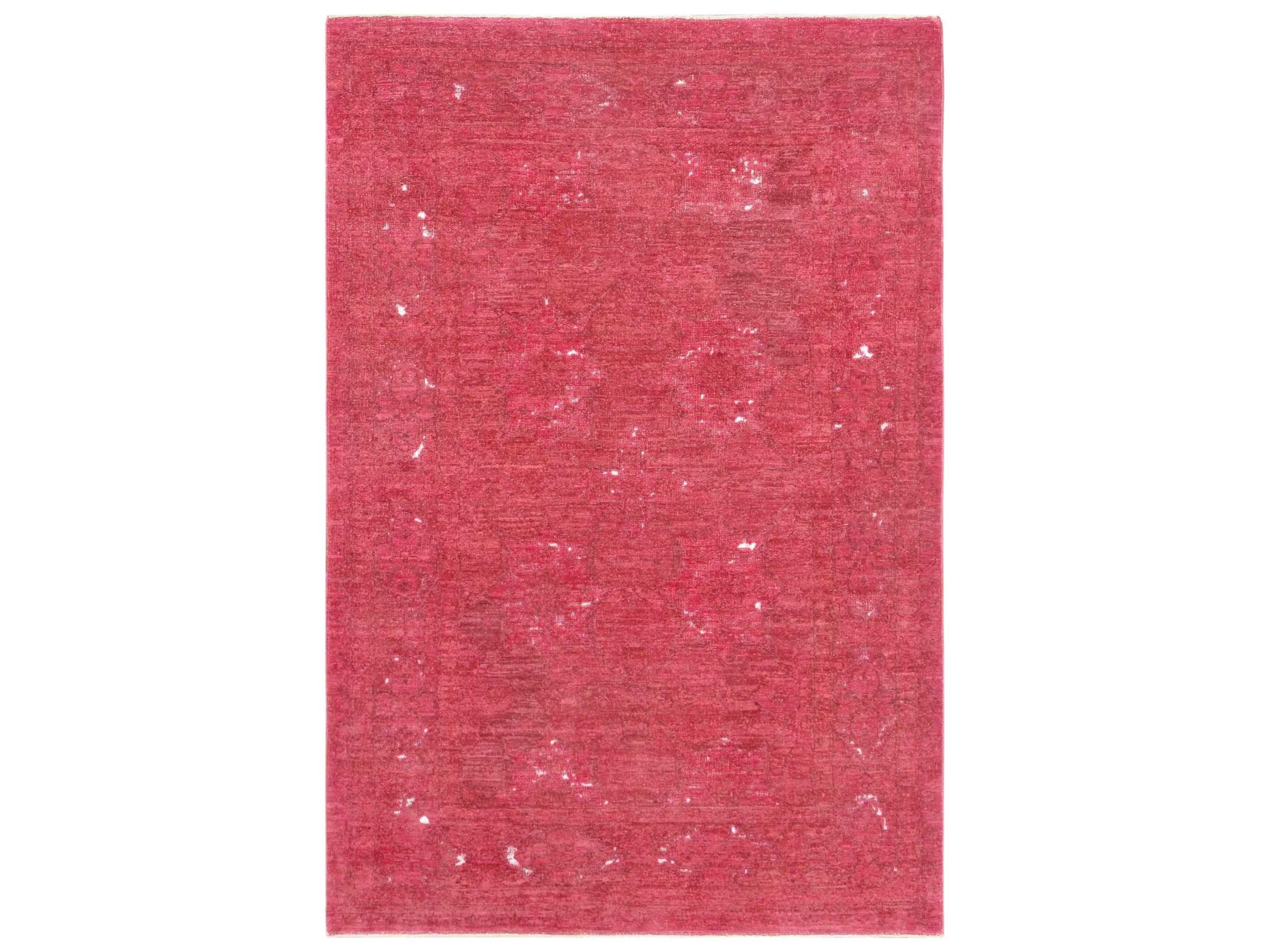 Pasargad Home Lahore Bordered Area Rug