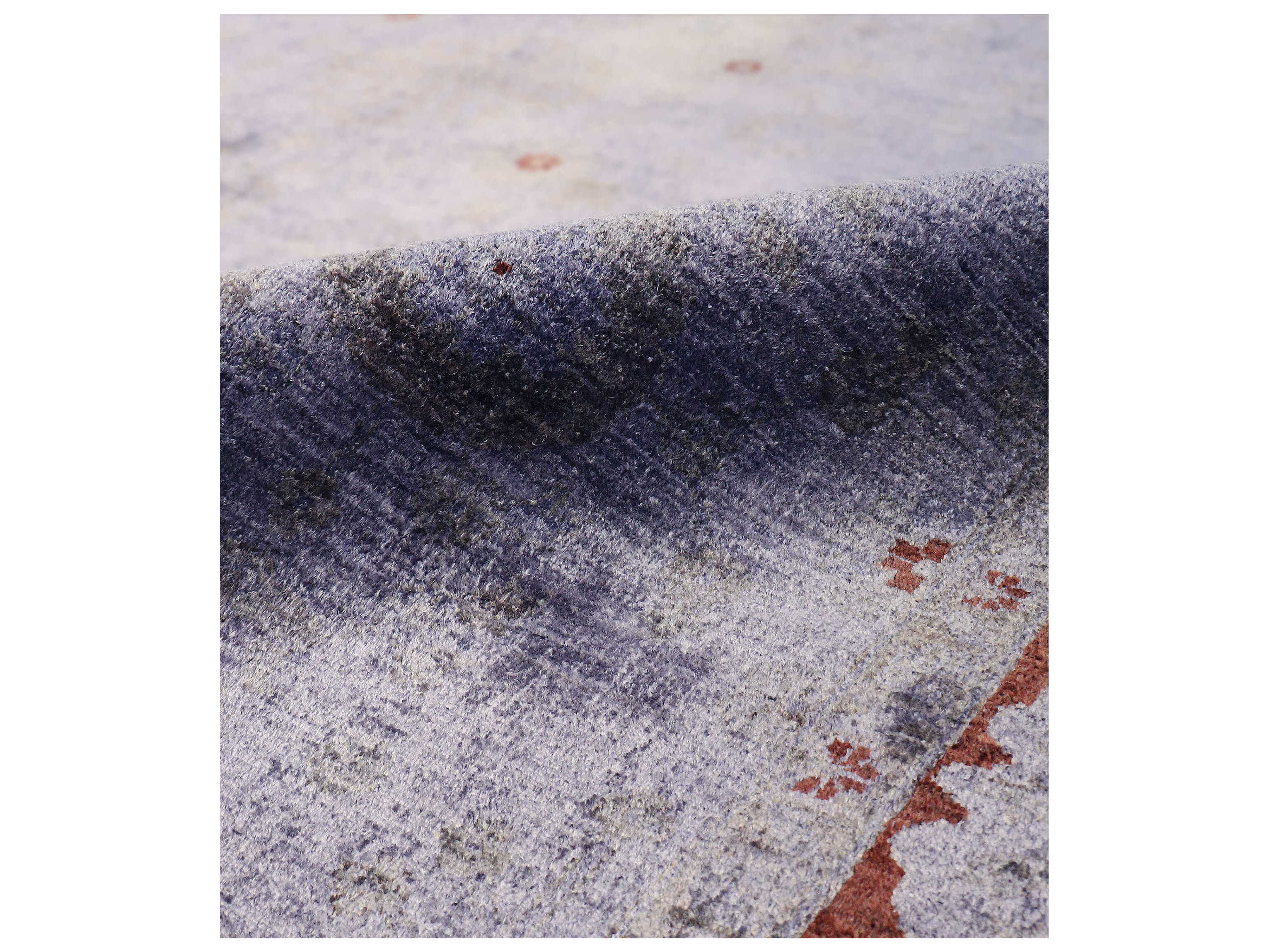 Pasargad Home Lahore Bordered Area Rug