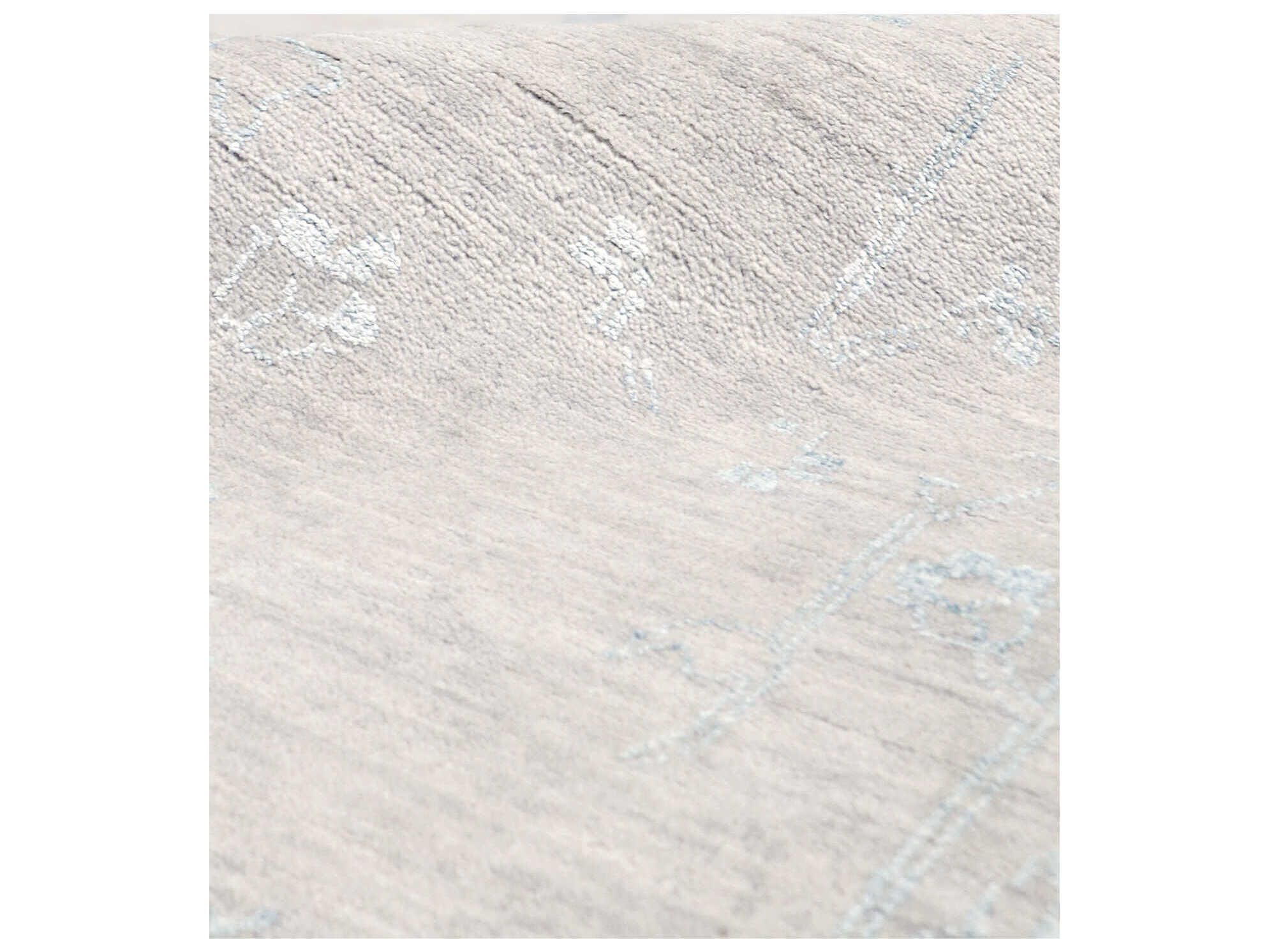 Pasargad Home Transitional Bordered Area Rug