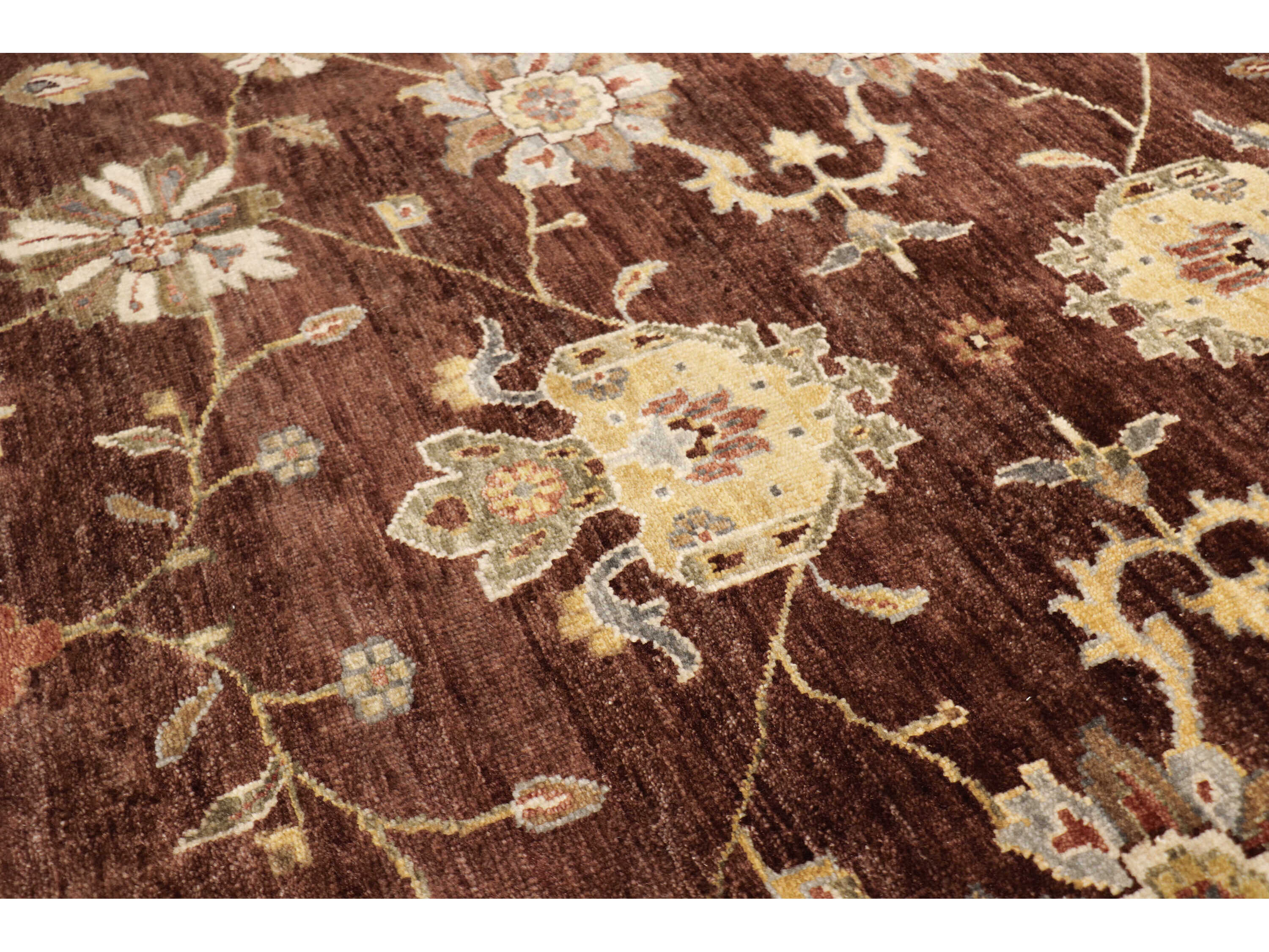 Pasargad Home Melody Bordered Area Rug