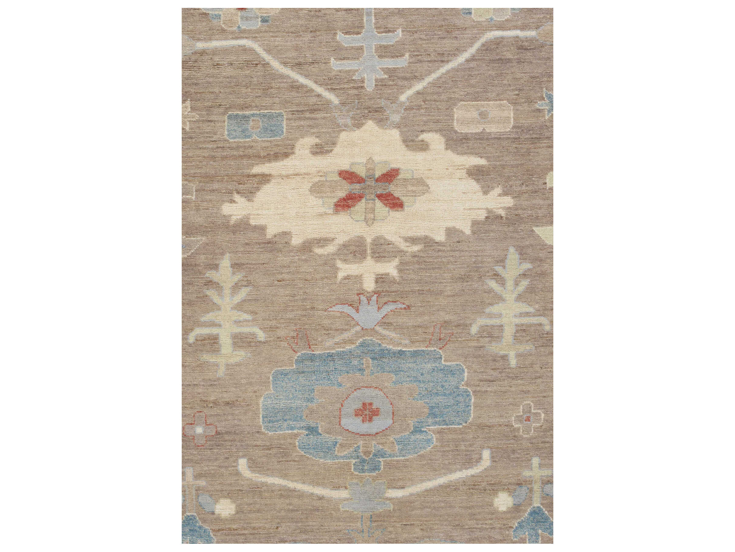 Pasargad Home Melody Bordered Area Rug