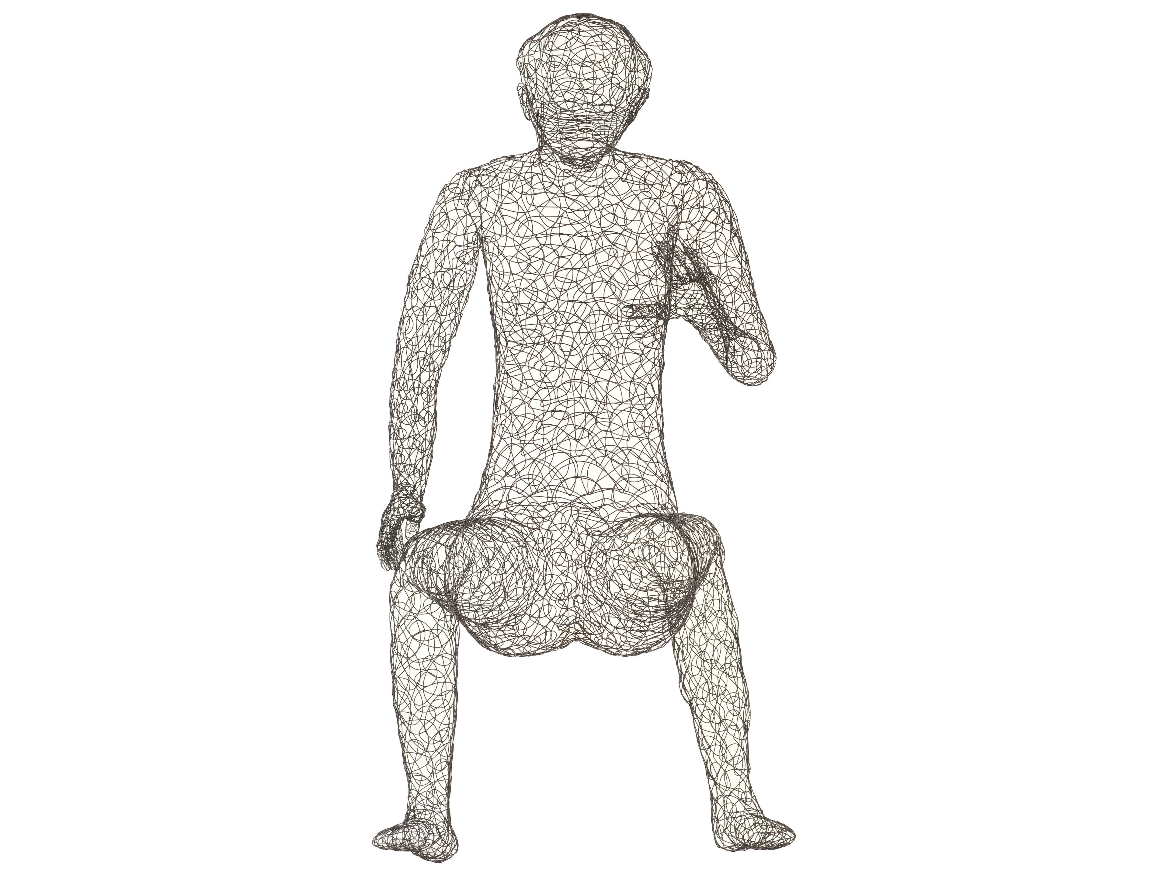 Phillips Collection Crazy Wire Black Sculpture