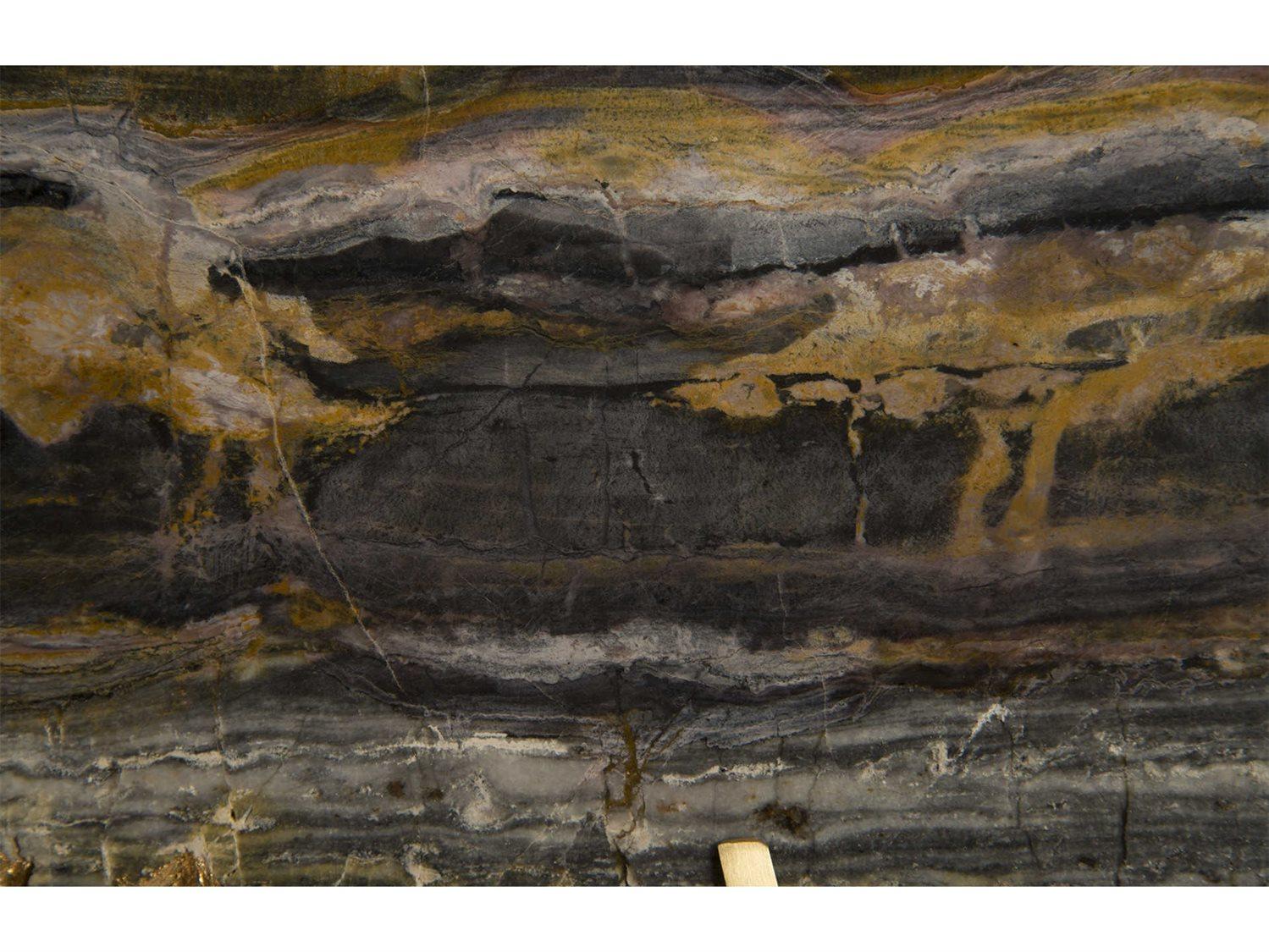 Phillips Collection 3D Wall Art