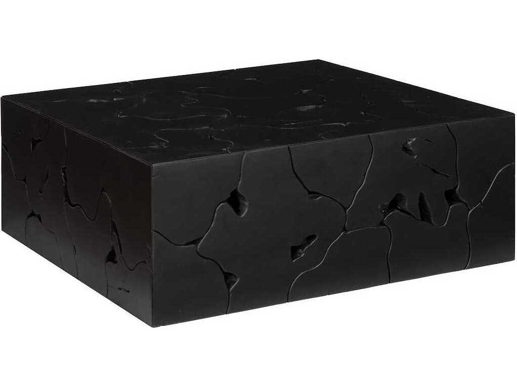 Phillips Collection Teak Slice Square Wood Black Coffee Table